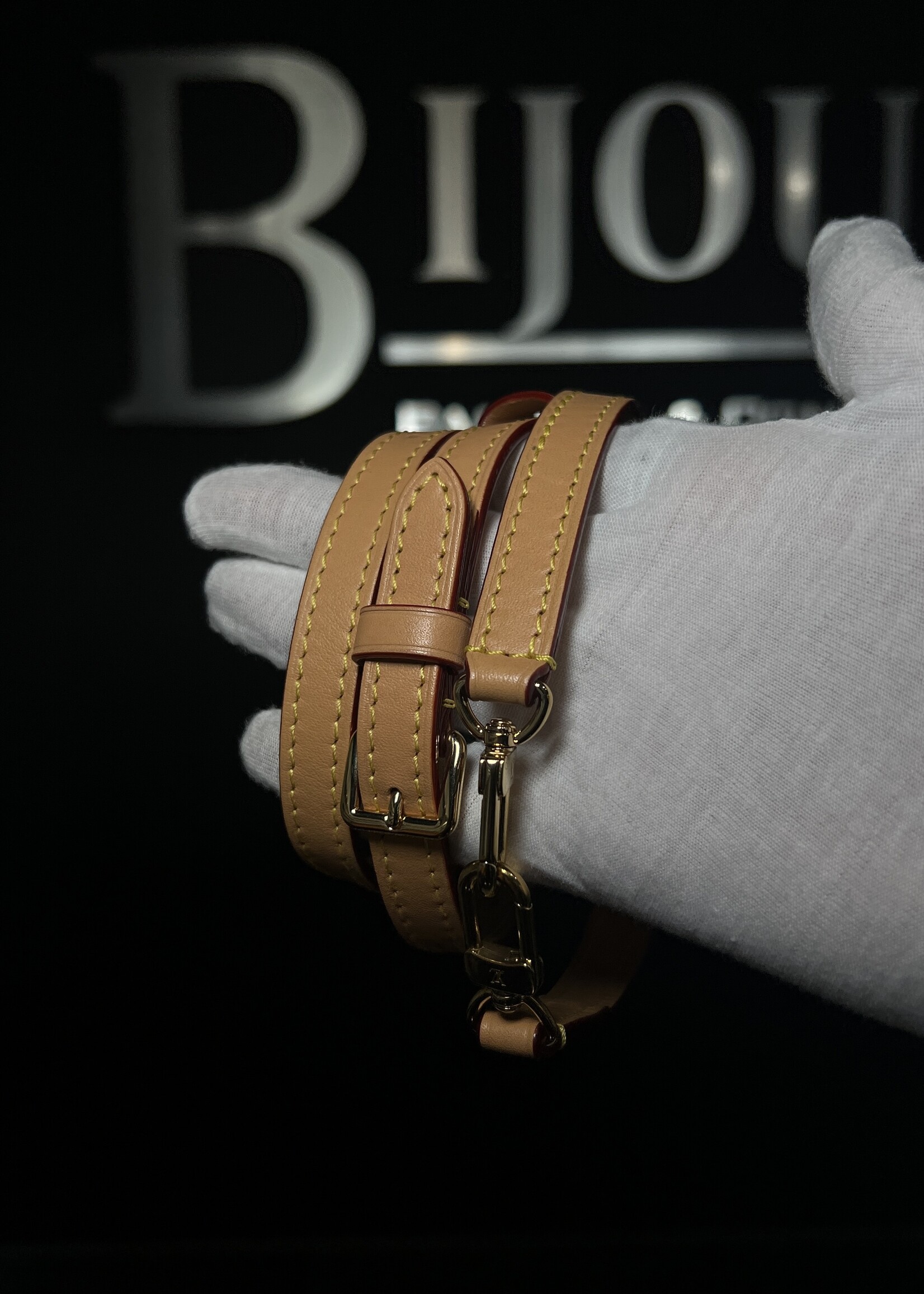 Louis Vuitton Louis Vuitton Monogram Mini Bum Bag