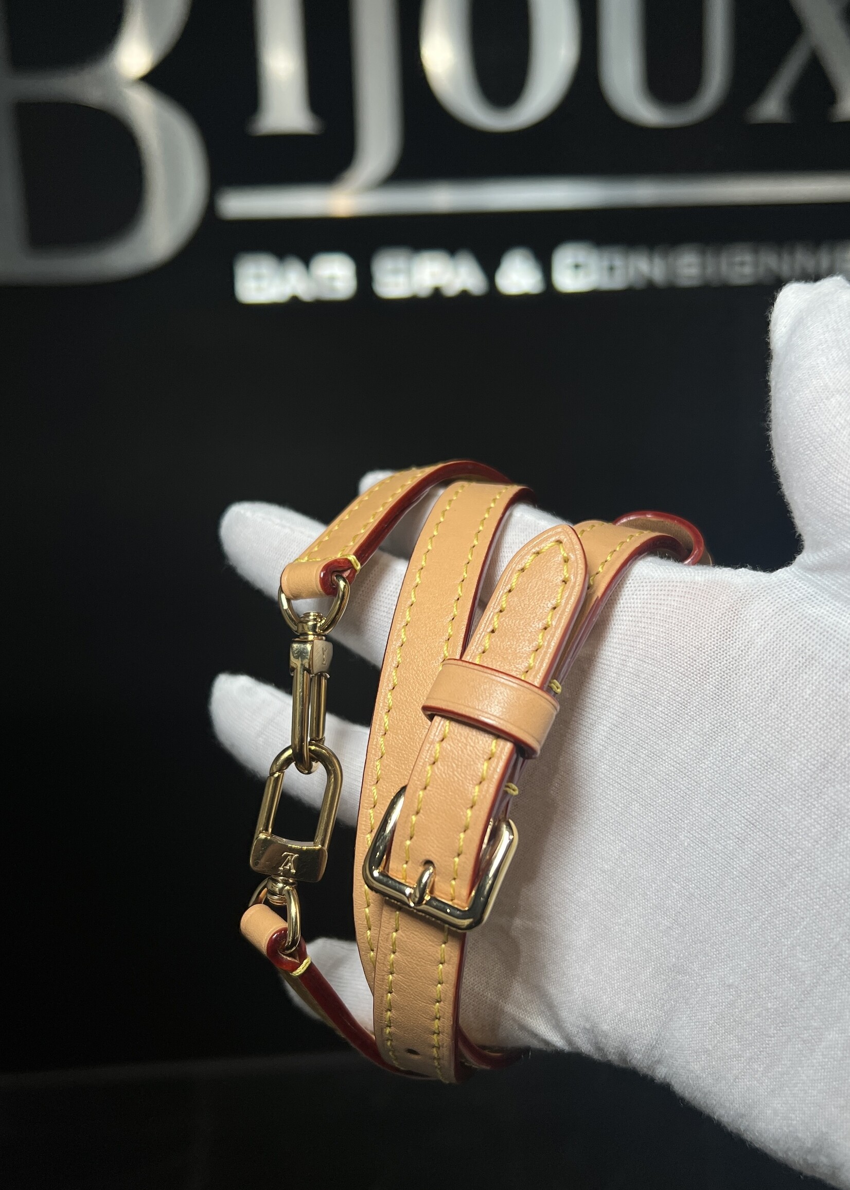 Louis Vuitton Louis Vuitton Monogram Mini Bum Bag