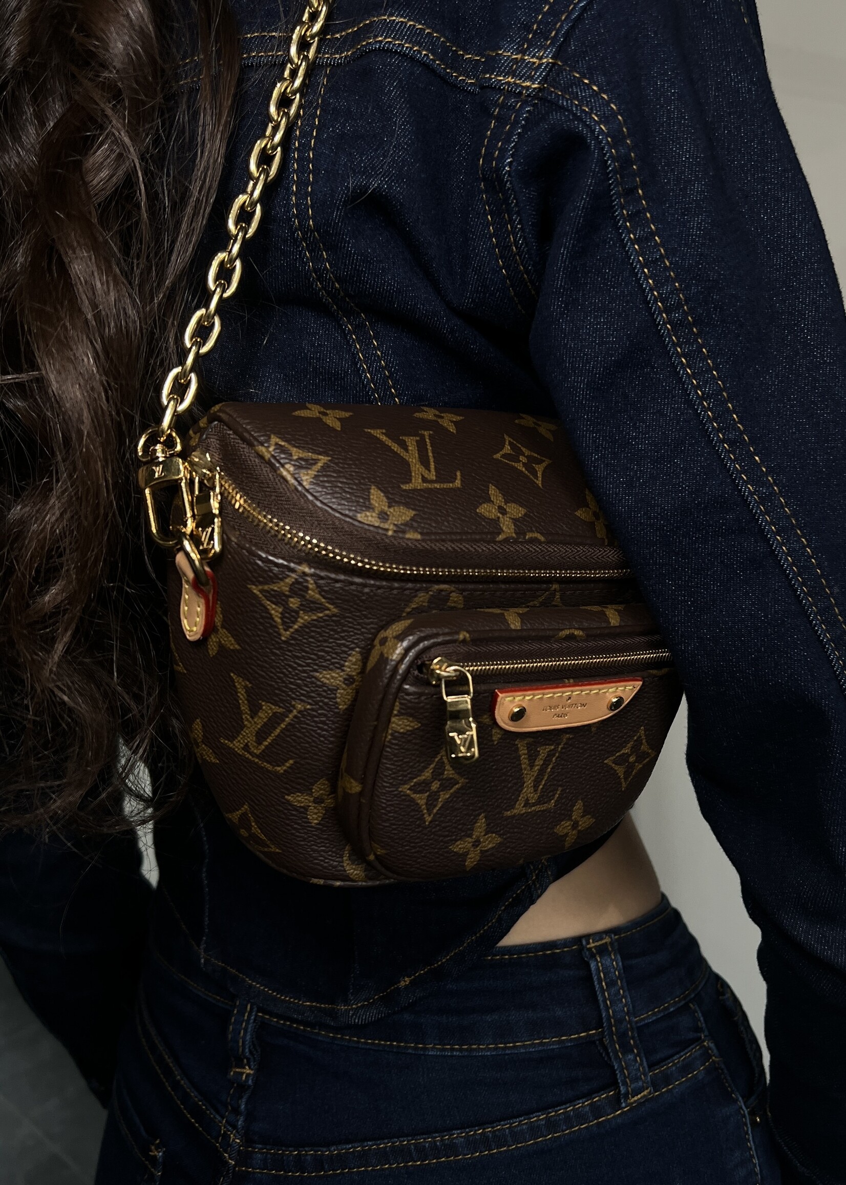 Louis Vuitton Louis Vuitton Monogram Mini Bum Bag