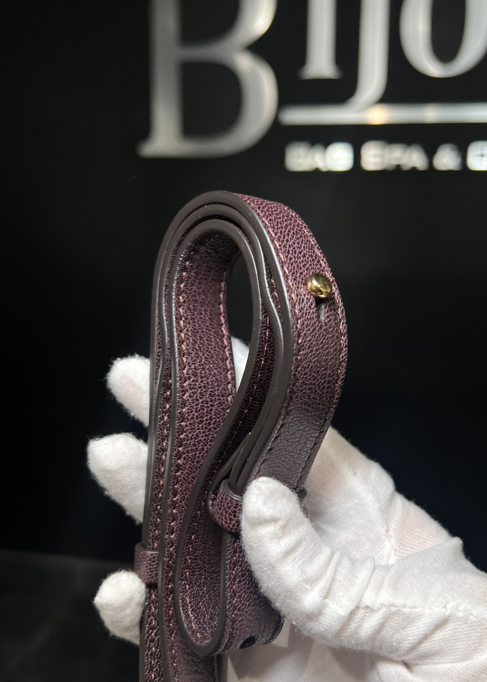 Chloe Chloe Python Embossed Mini C