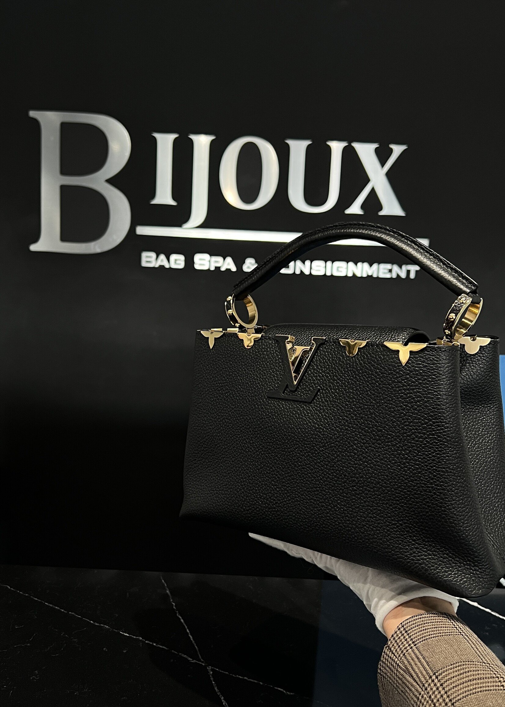 Louis Vuitton Louis Vuitton Capucine PM