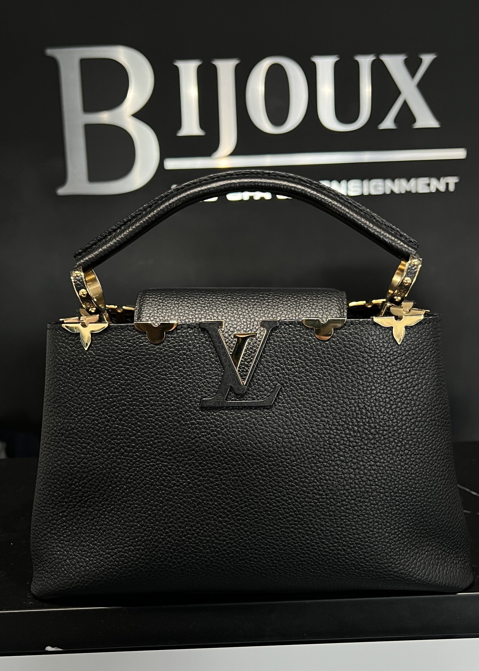 Louis Vuitton Louis Vuitton Capucine PM