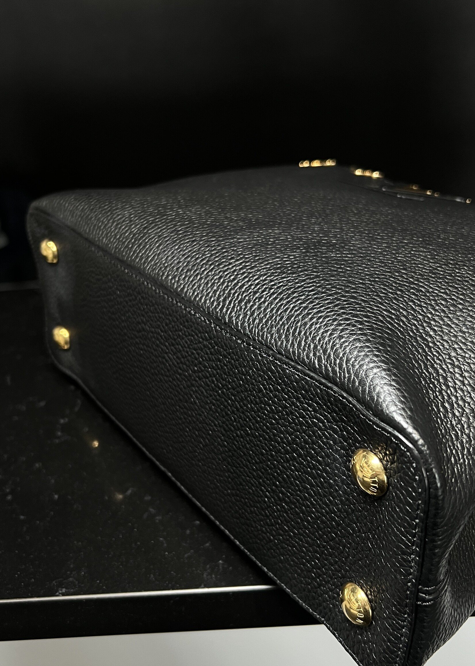 Louis Vuitton Louis Vuitton Capucine PM