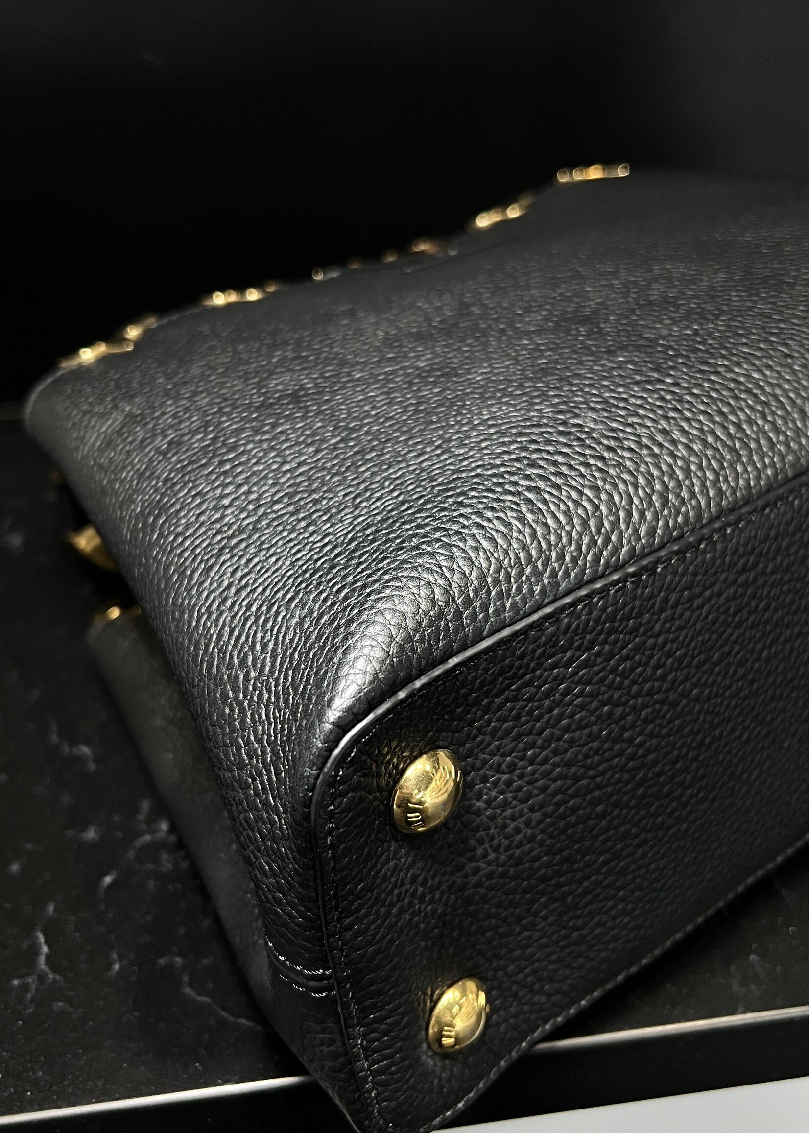 Louis Vuitton Louis Vuitton Capucine PM