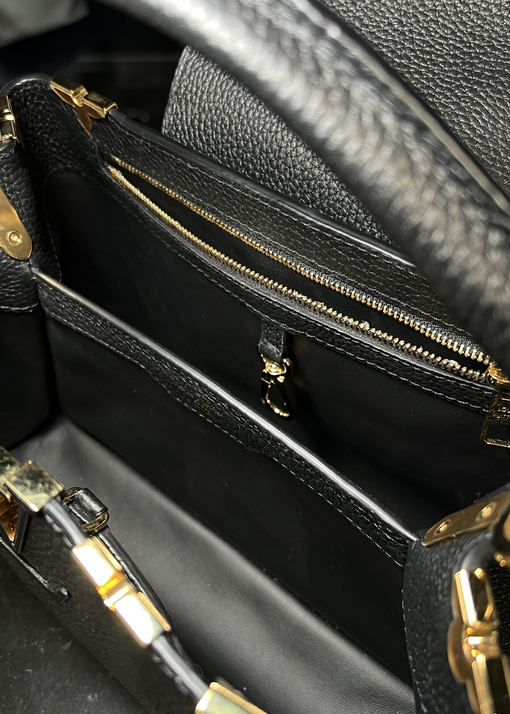 Louis Vuitton Louis Vuitton Capucine PM