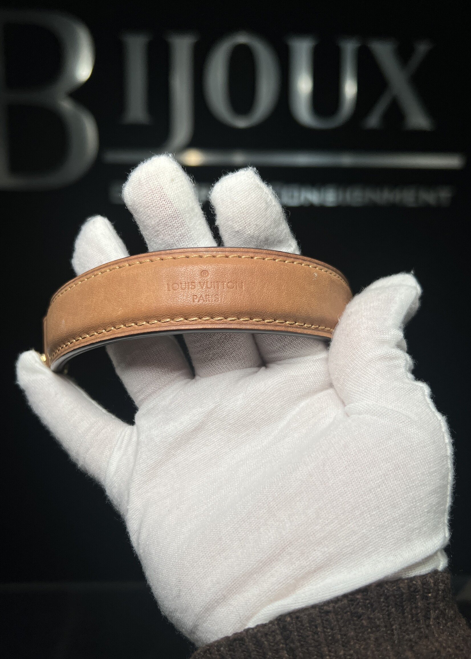 Louis Vuitton Louis Vuitton Noe MM Azur