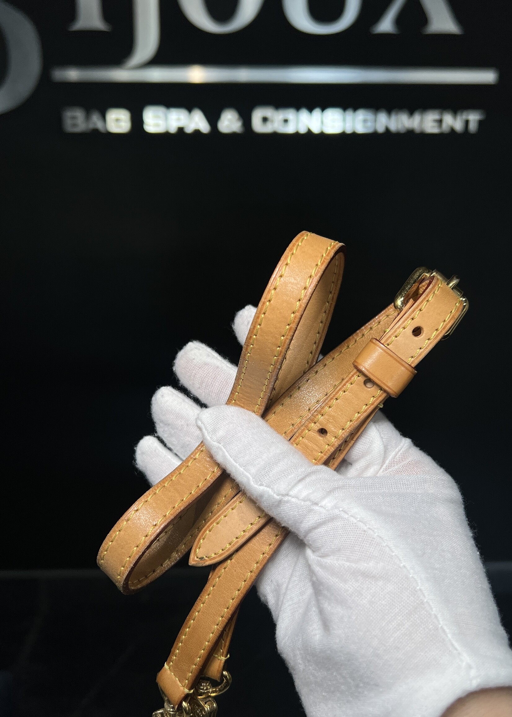 Louis Vuitton Louis Vuitton Brea Vernis MM