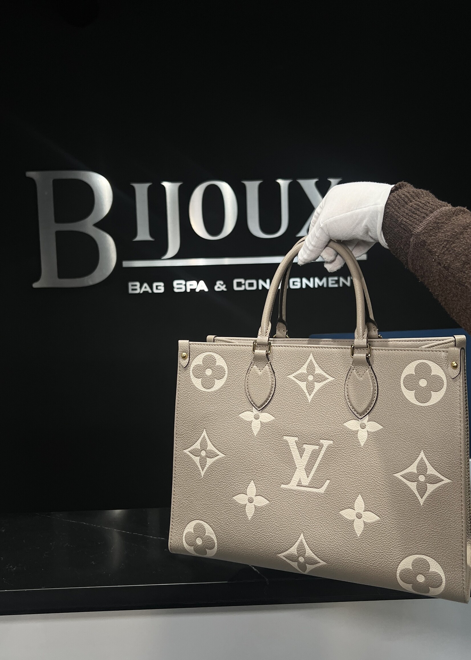 Louis Vuitton Louis Vuitton On The Go MM