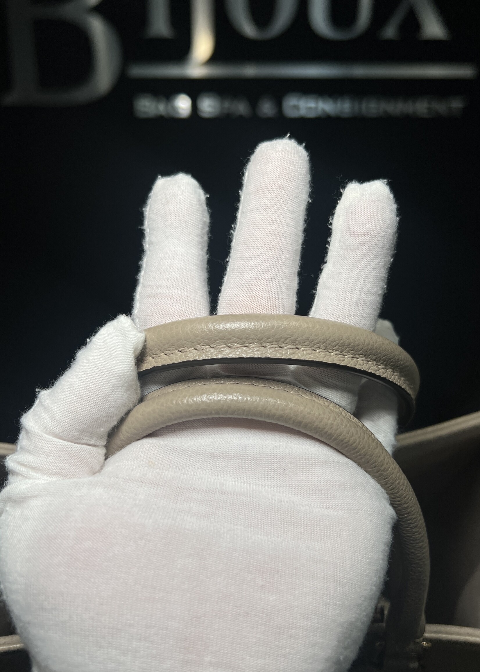 Louis Vuitton Louis Vuitton On The Go MM