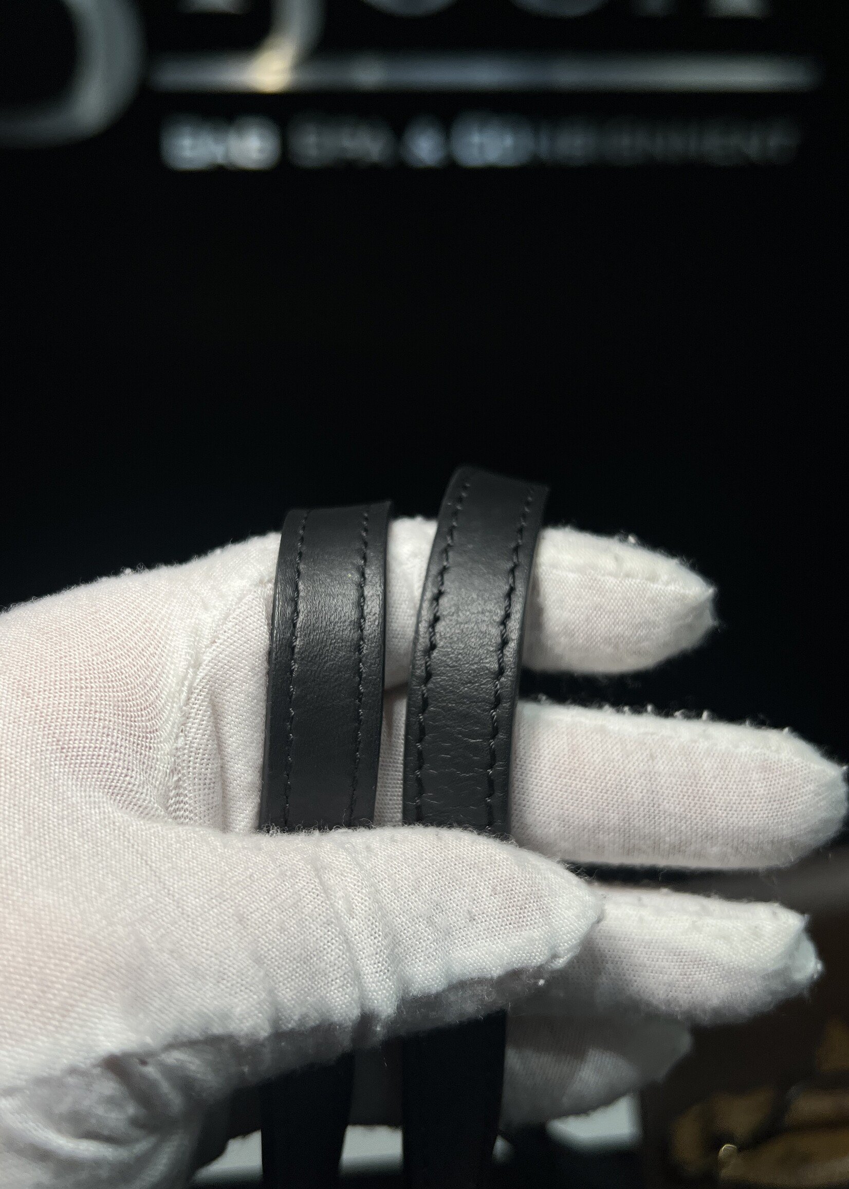 Louis Vuitton Louis Vuitton On The Go MM