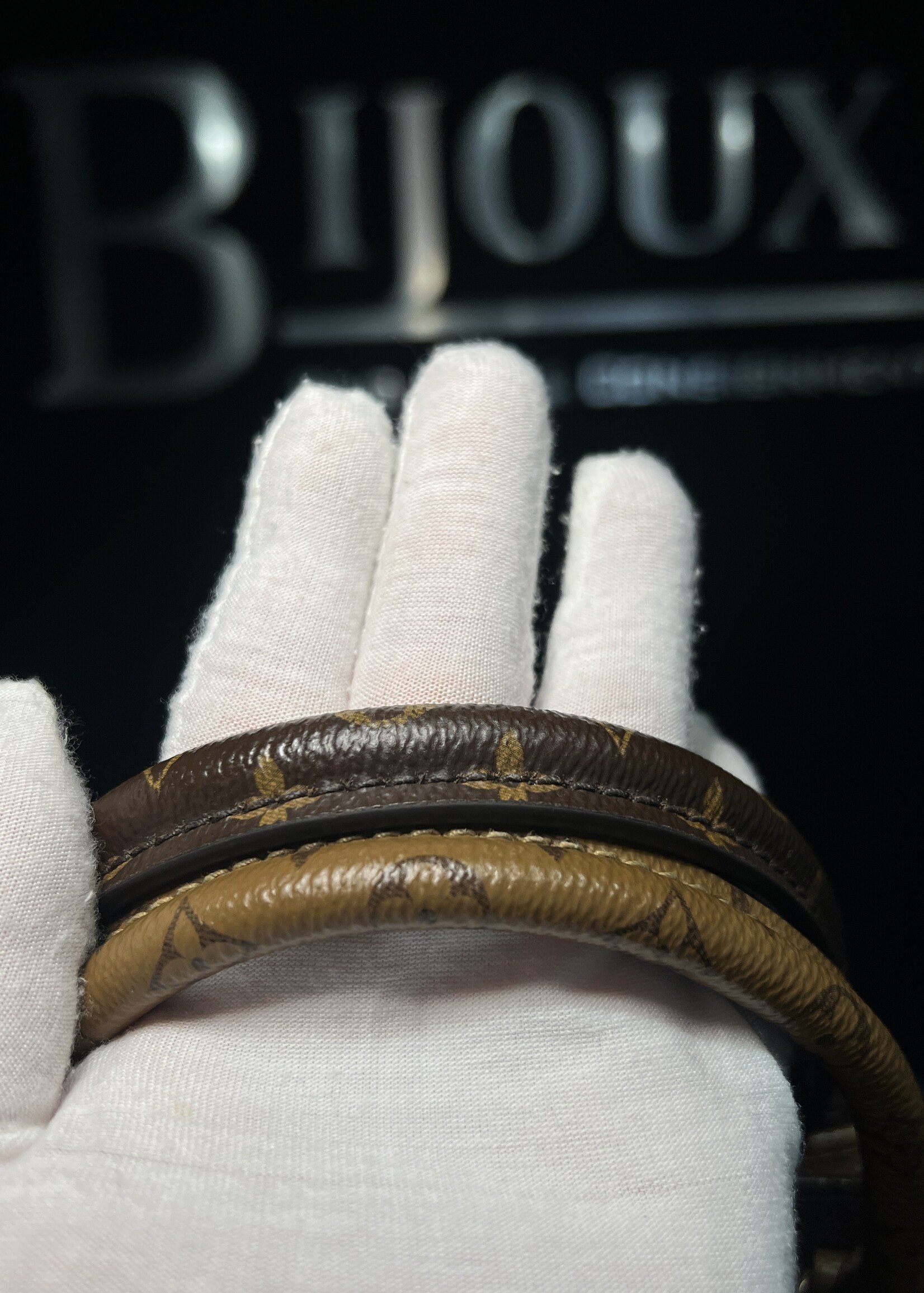 Louis Vuitton Louis Vuitton On The Go MM