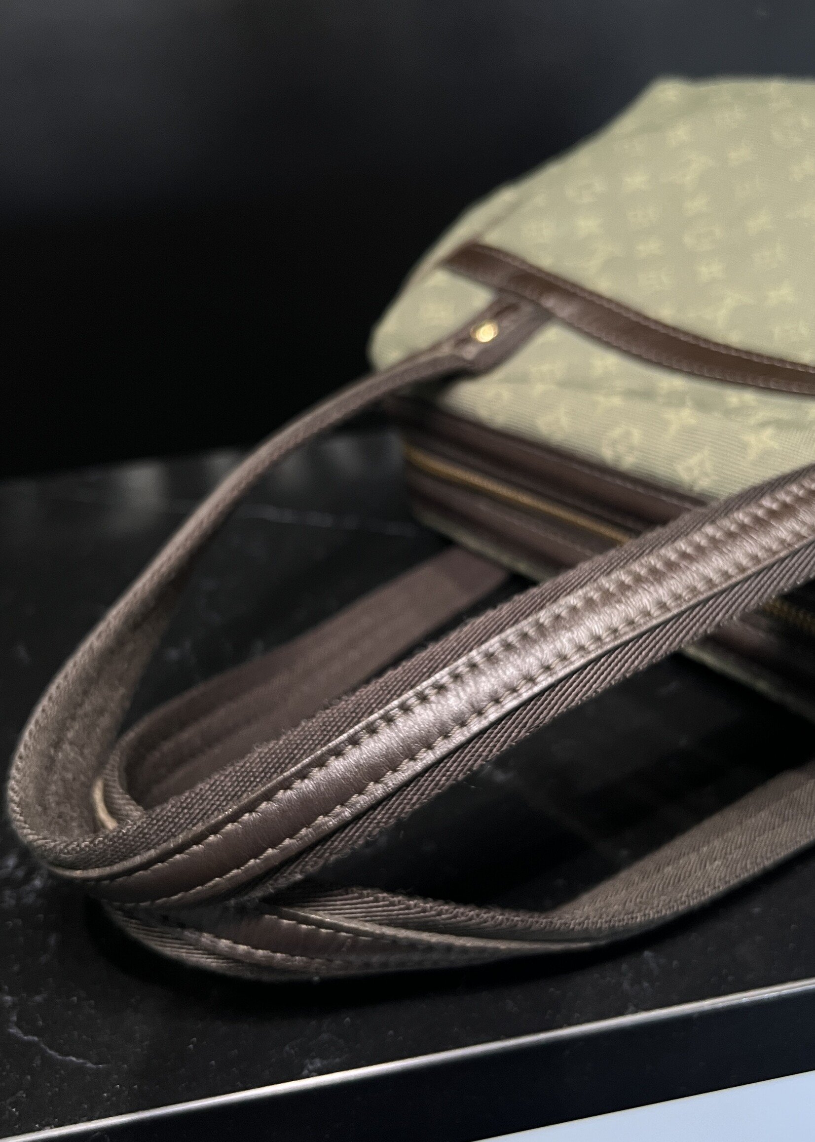 Louis Vuitton Louis Vuitton Mini Lin Josephine
