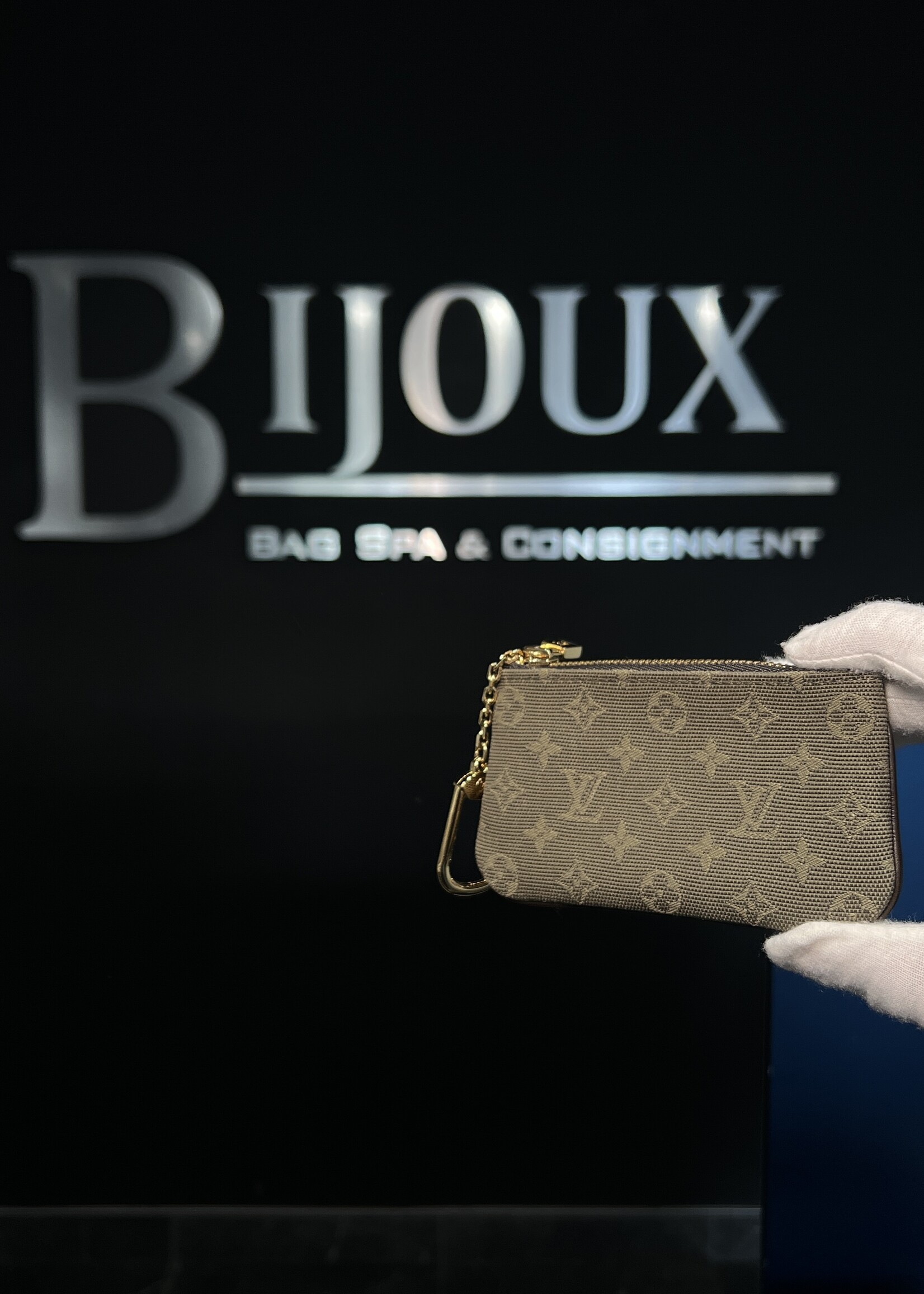 Louis Vuitton Louis Vuitton Mini Lin Coin Wallet
