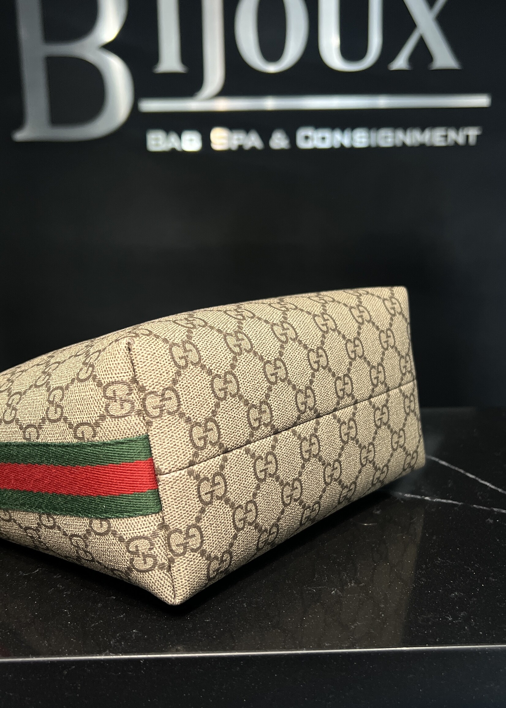 Gucci Gucci Mini Ophidia
