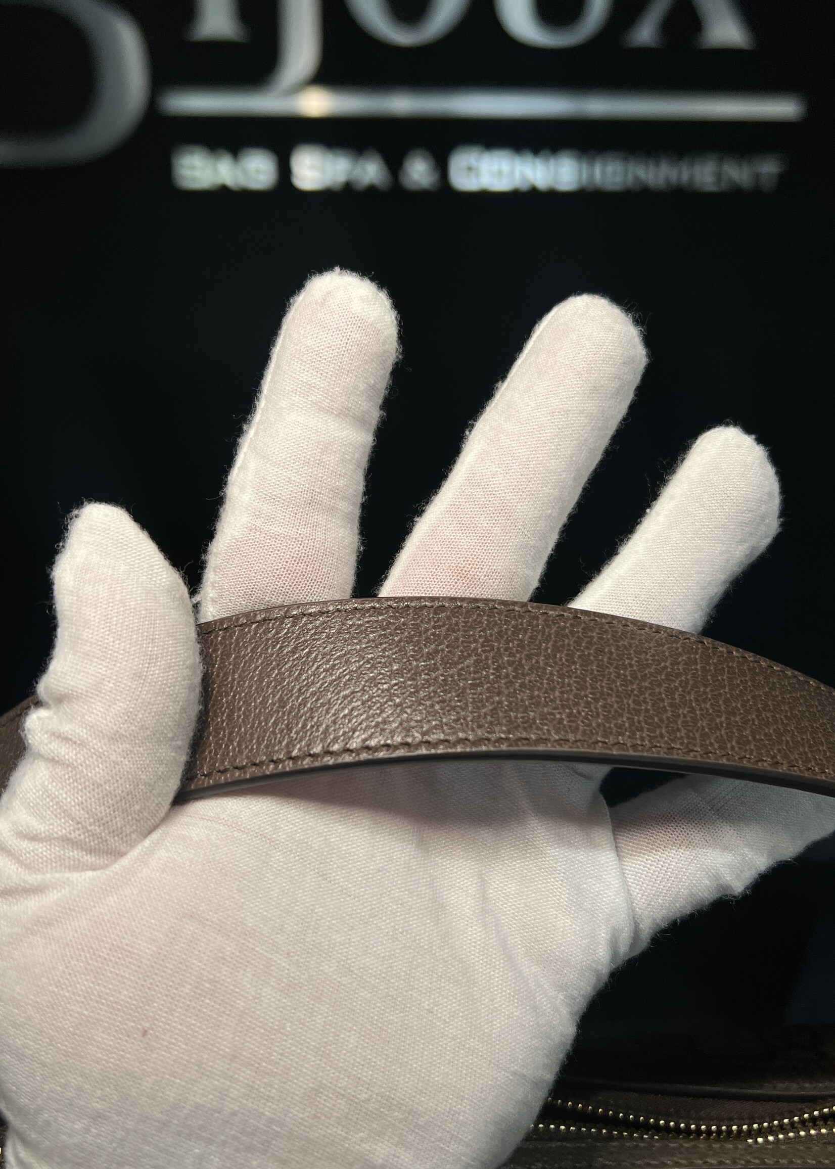 Gucci Gucci Mini Ophidia