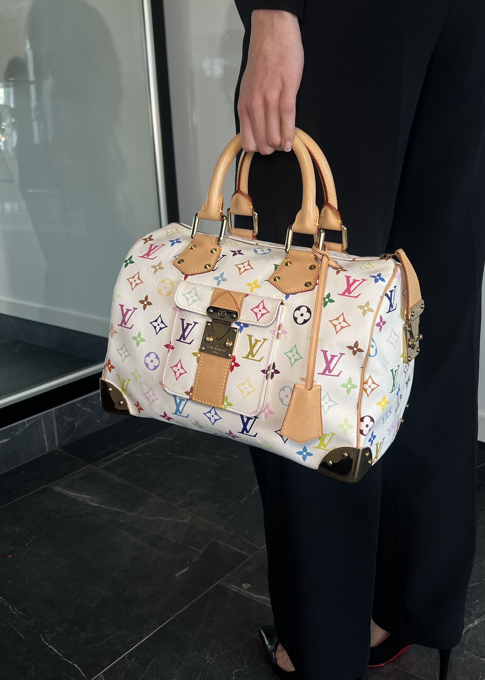 Louis Vuitton Louis Vuitton Multicolor Speedy 30 Takashi Murakami