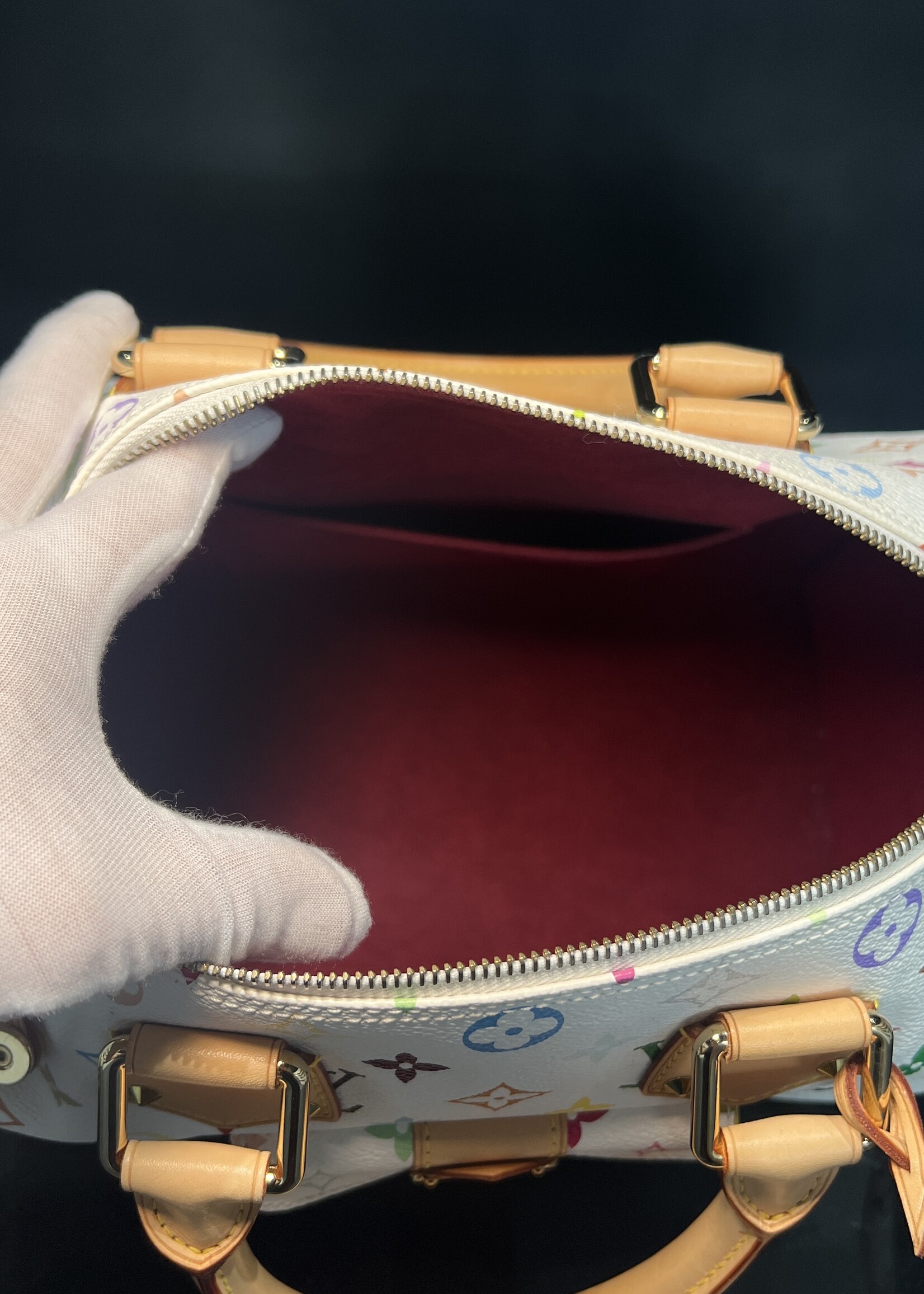 Louis Vuitton Louis Vuitton Multicolor Speedy 30 Takashi Murakami