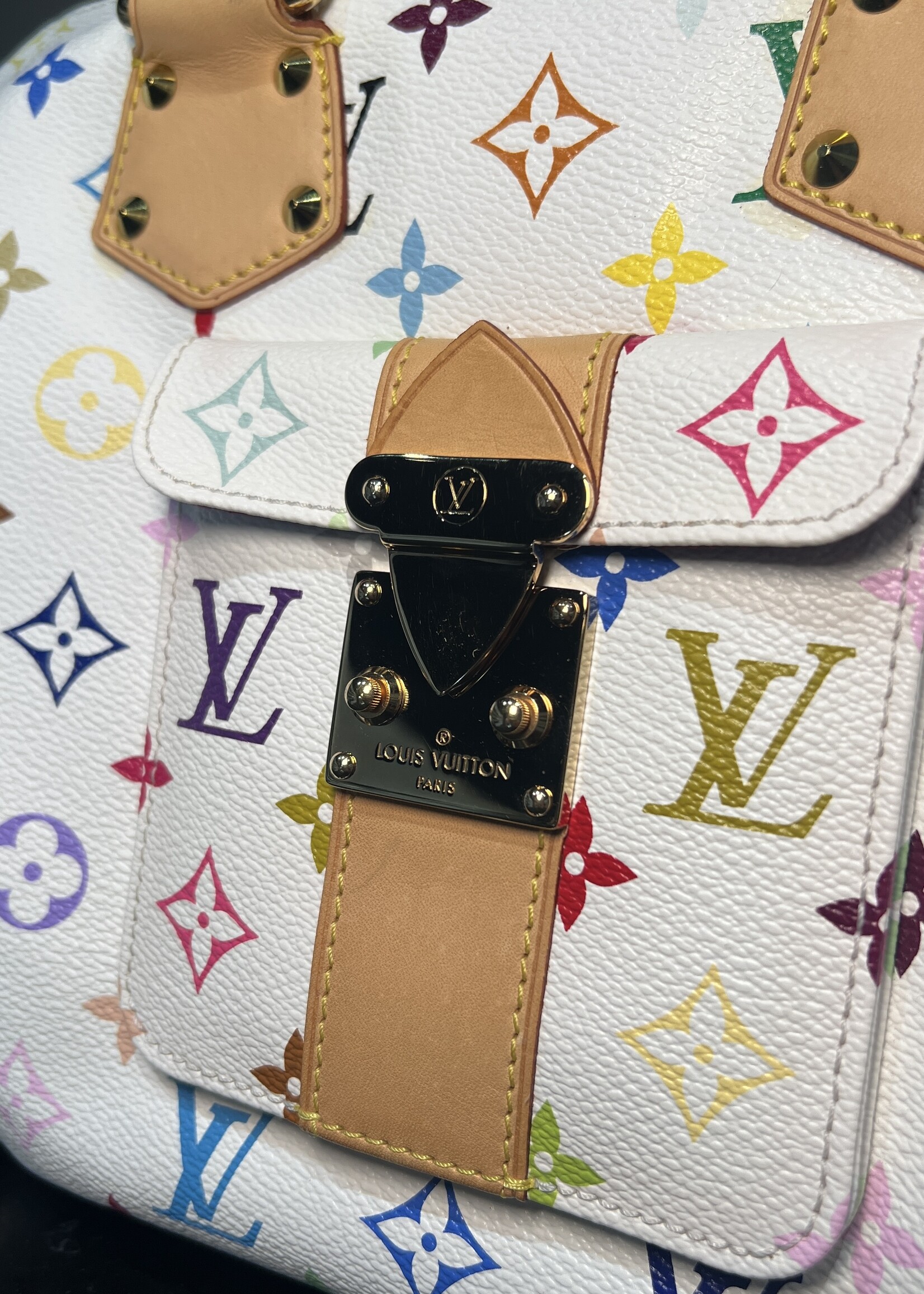 Louis Vuitton Louis Vuitton Multicolor Speedy 30 Takashi Murakami