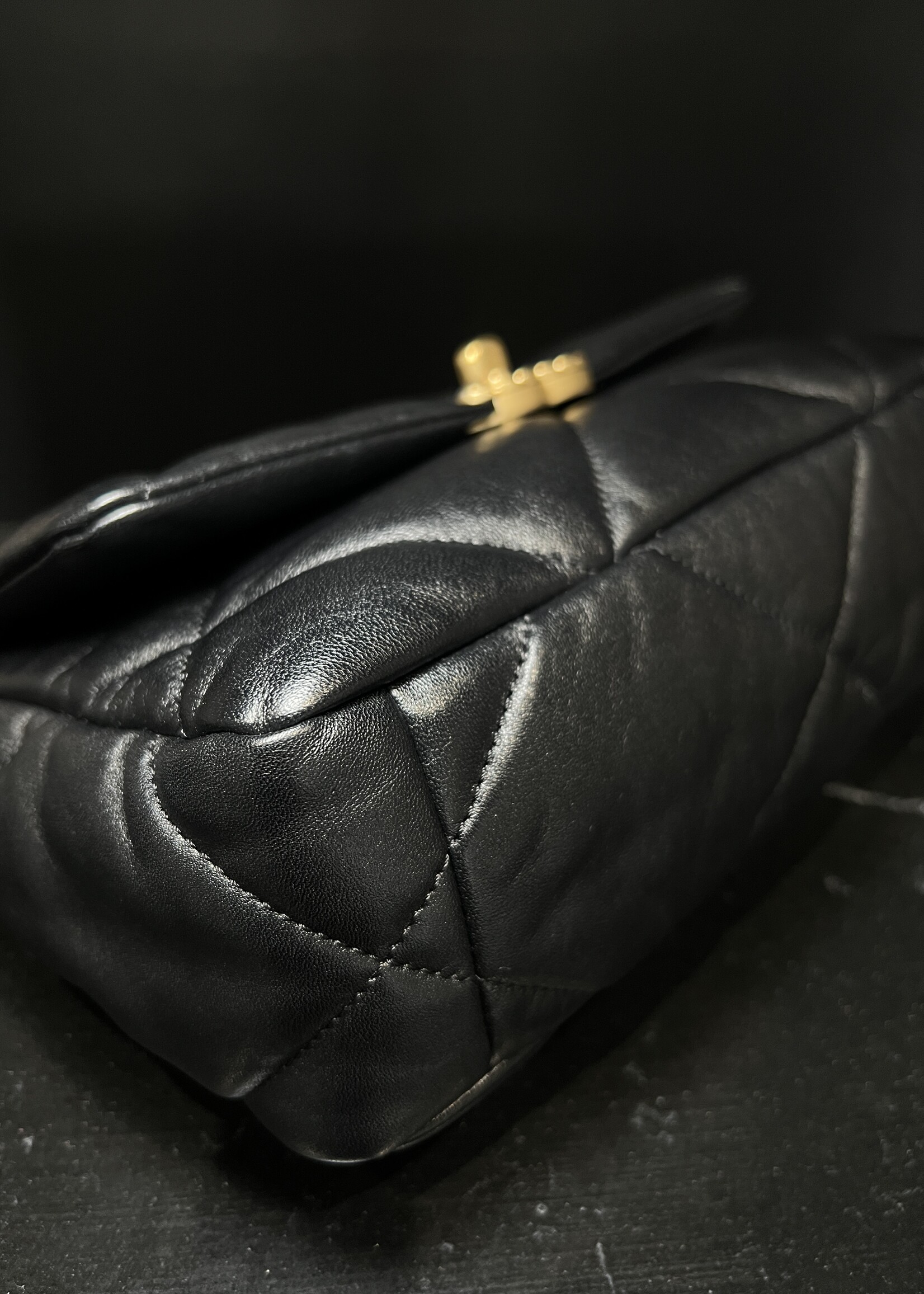 Chanel Chanel 19 Medium