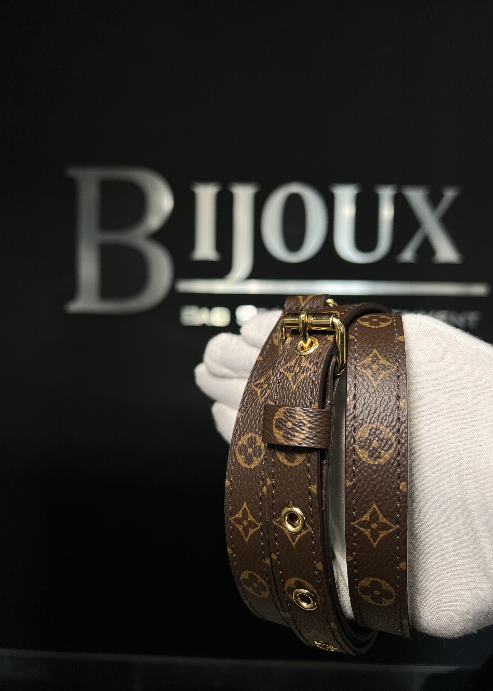 Louis Vuitton Louis Vuitton Monogram Strap