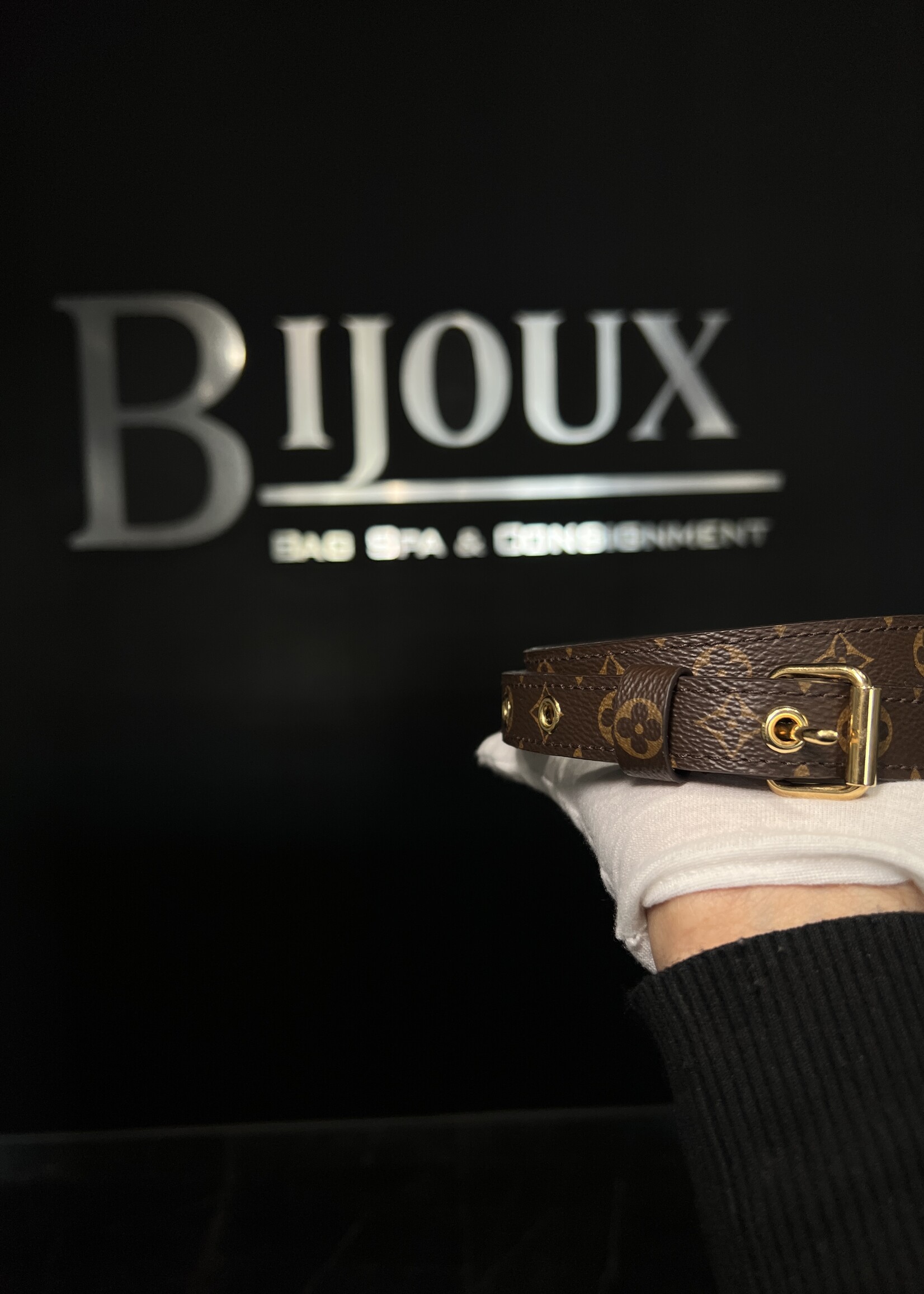 Louis Vuitton Louis Vuitton Monogram Strap