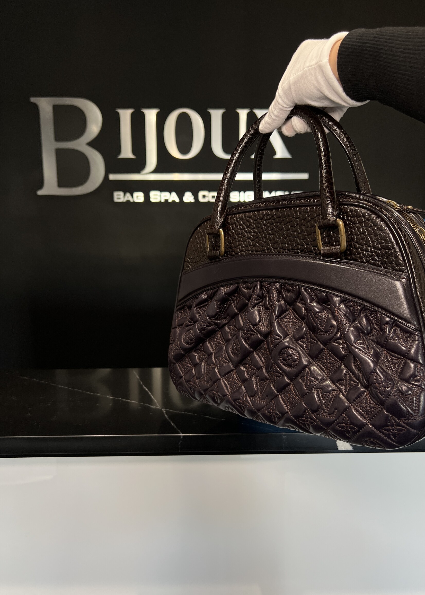 Louis Vuitton Louis Vuitton Mizi Purple