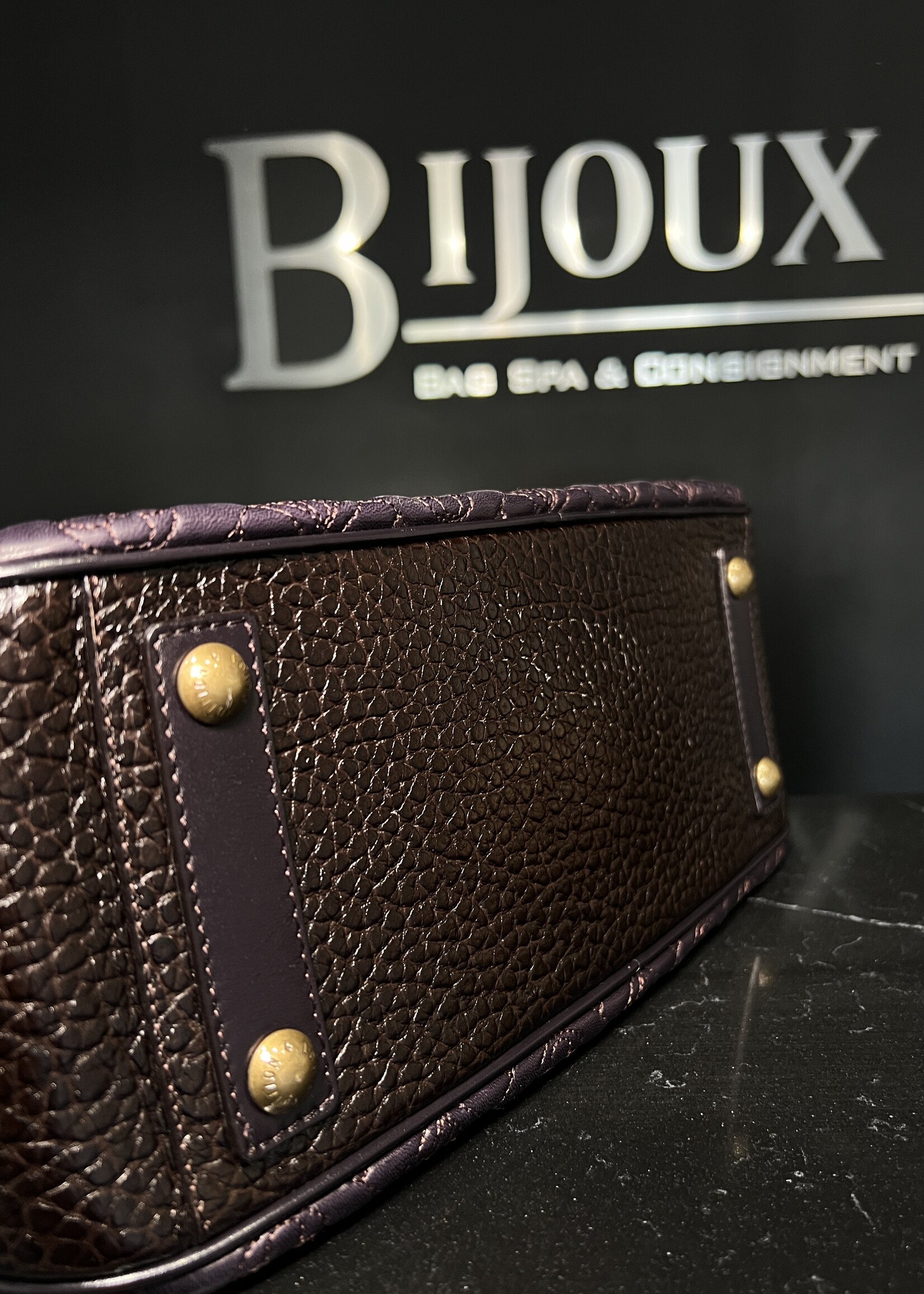 Louis Vuitton Louis Vuitton Mizi Purple