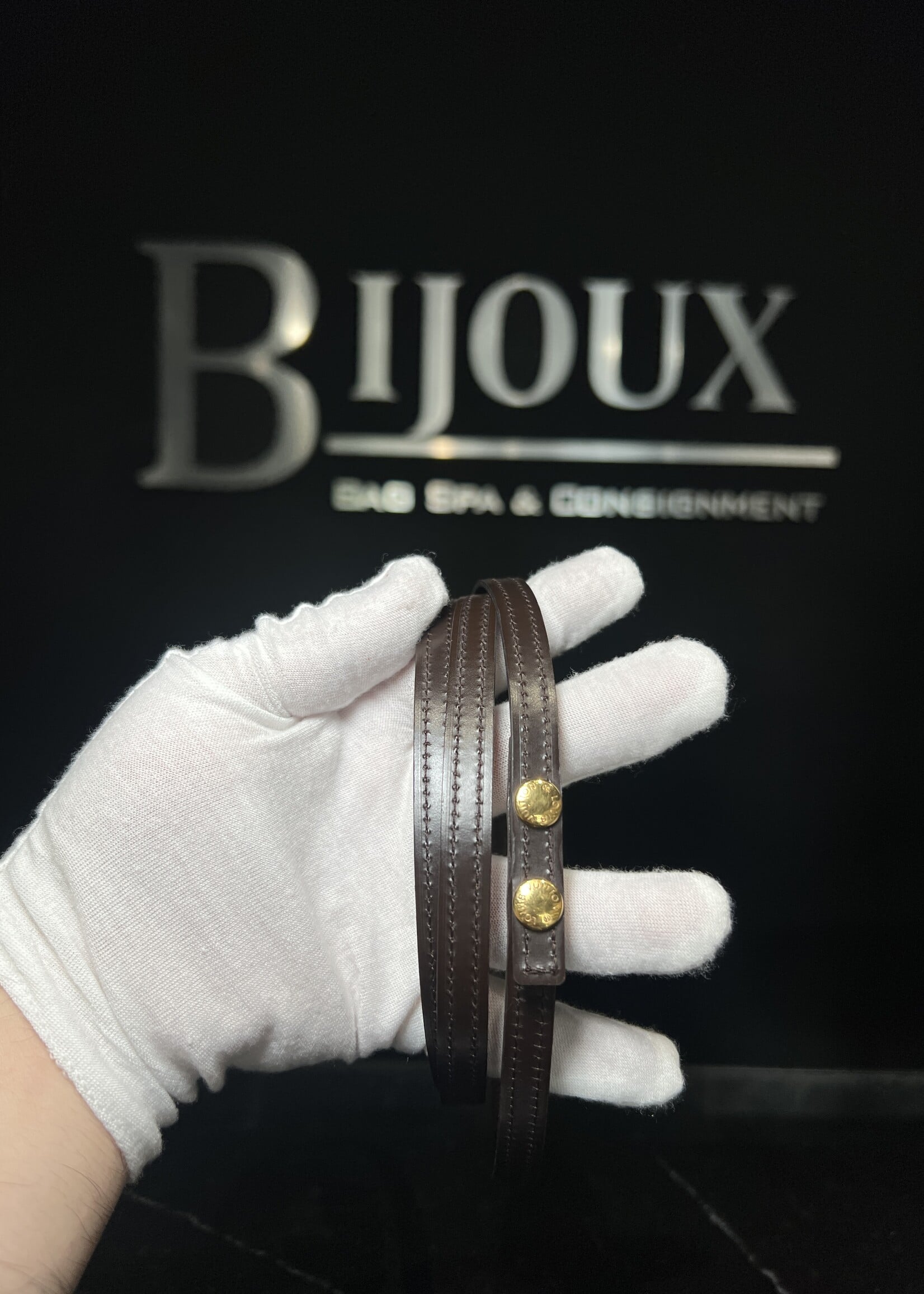 Louis Vuitton Louis Vuitton Pochette Twin GM Damier Ebene