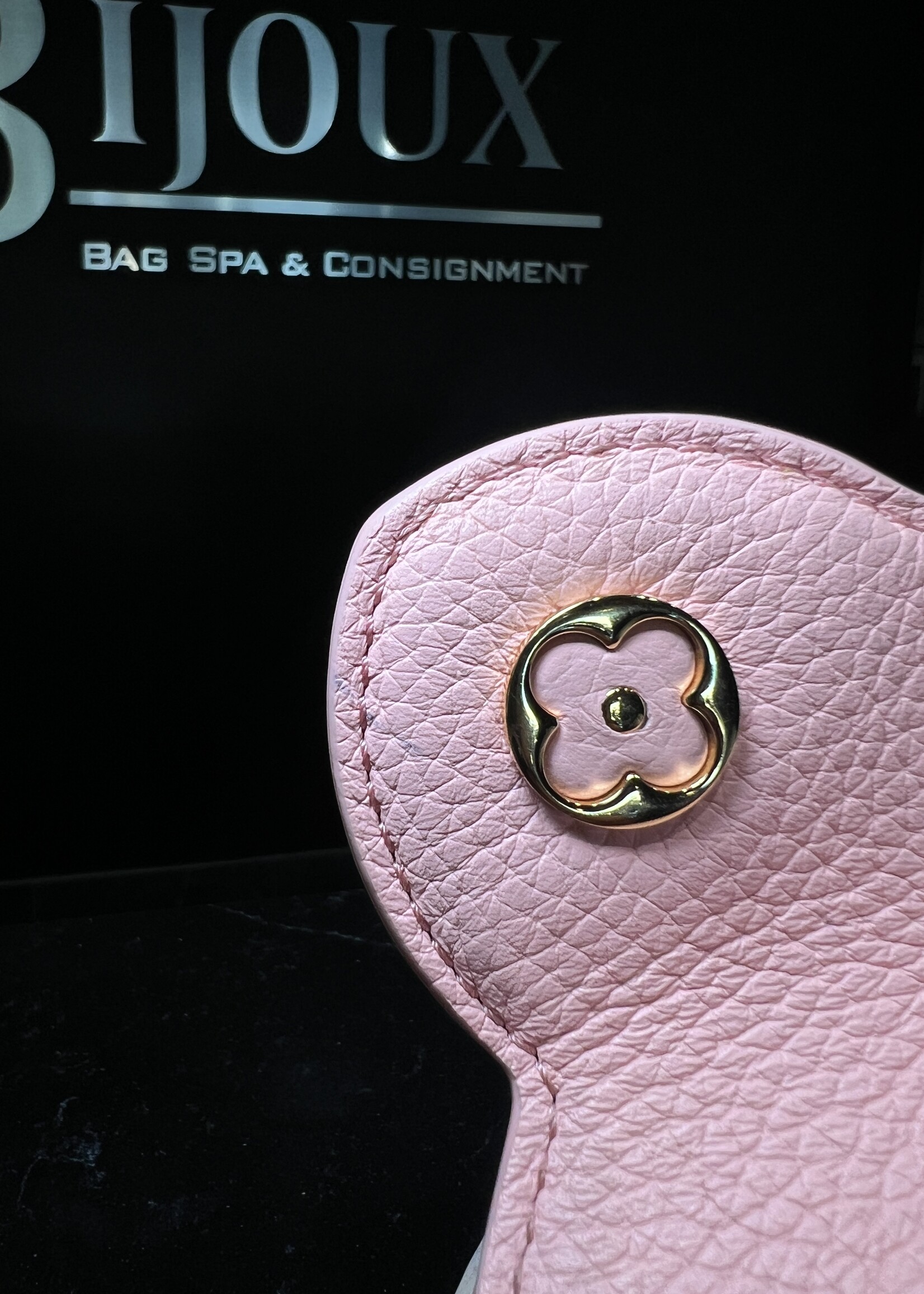 Louis Vuitton Louis Vuitton Rose Pondicherry Mini Capucines  Bag