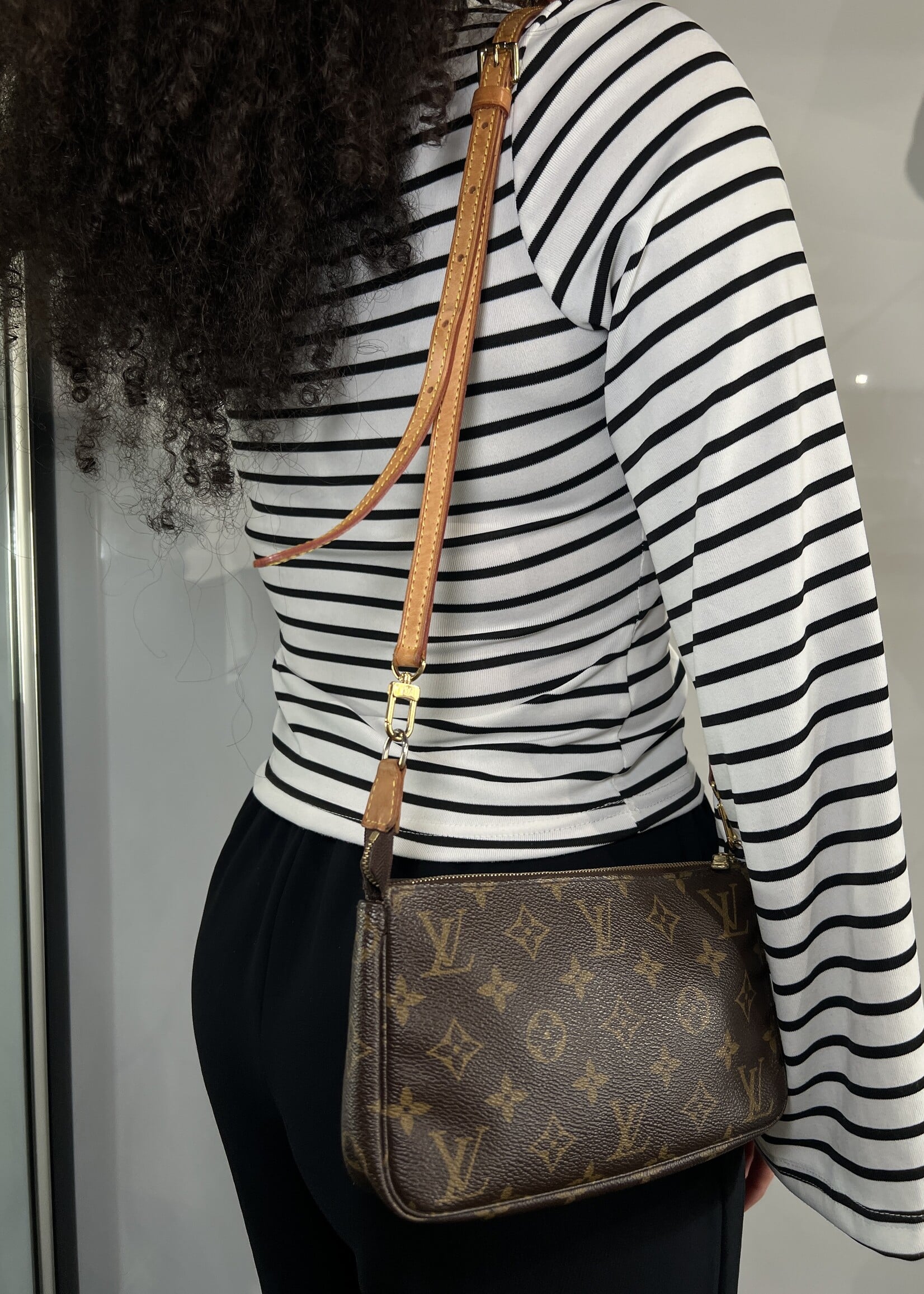Louis Vuitton Louis Vuitton Monogram Pochette Accessoires
