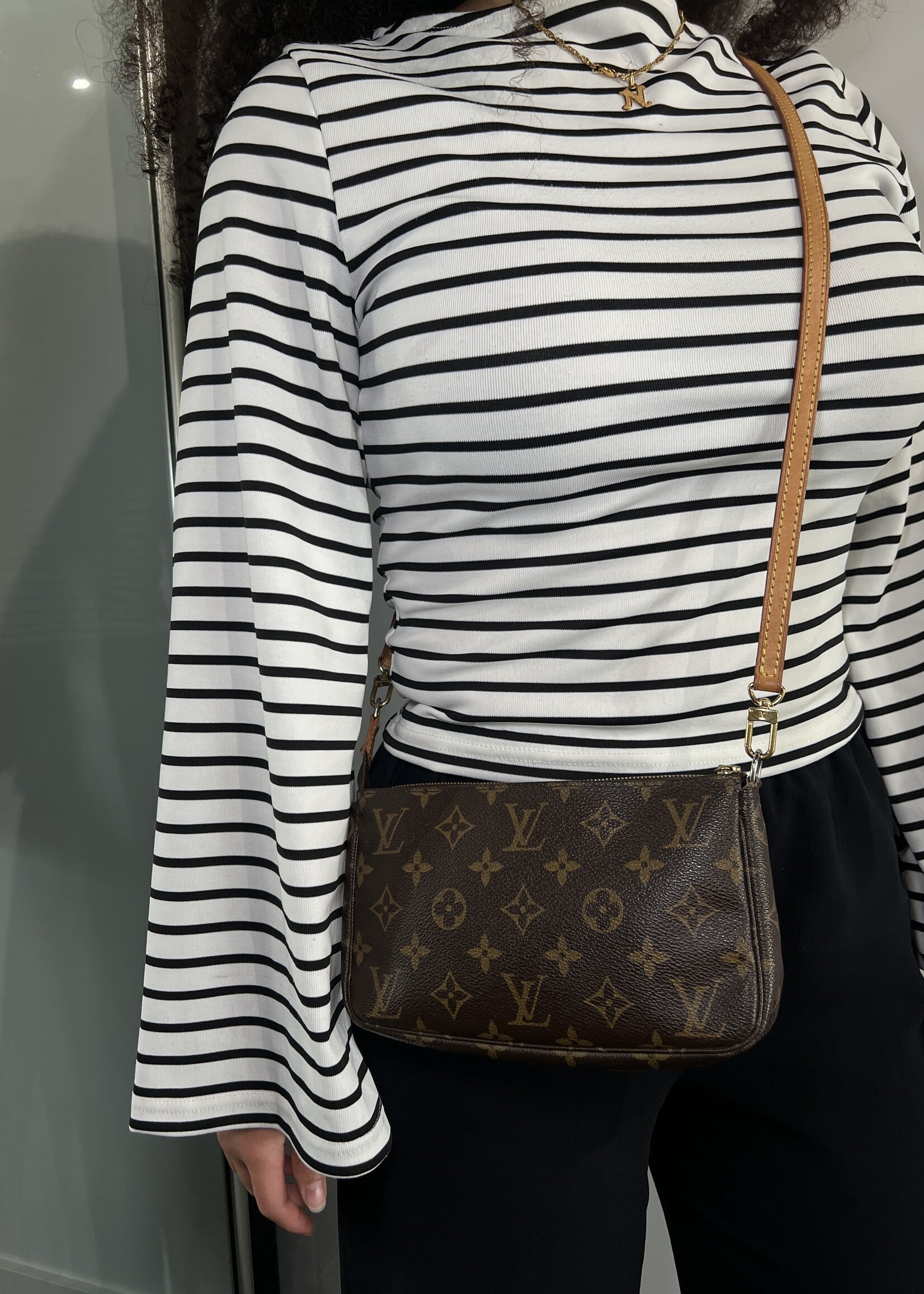 Louis Vuitton Louis Vuitton Monogram Pochette Accessoires