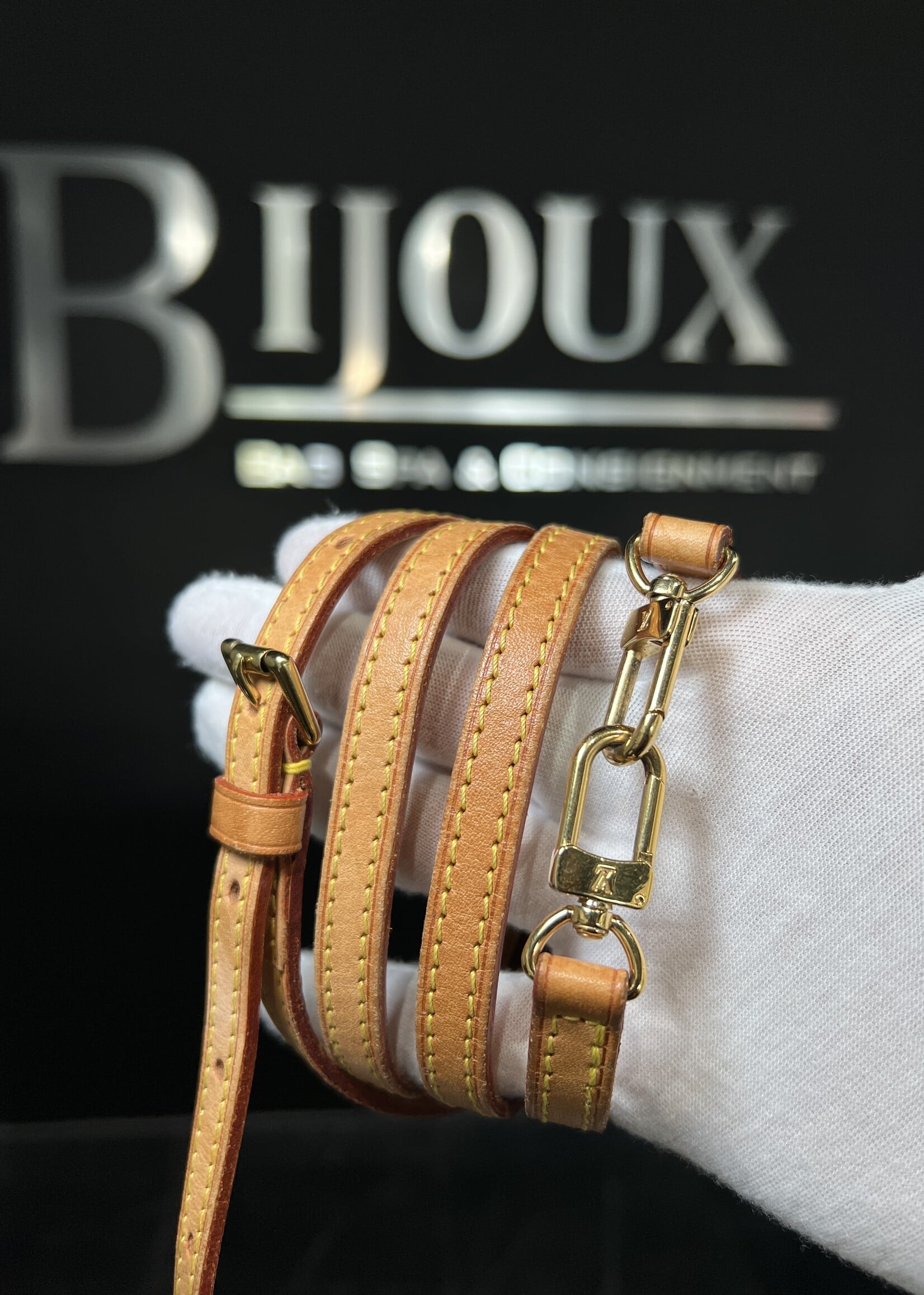 Louis Vuitton Louis Vuitton Monogram Pochette Accessoires
