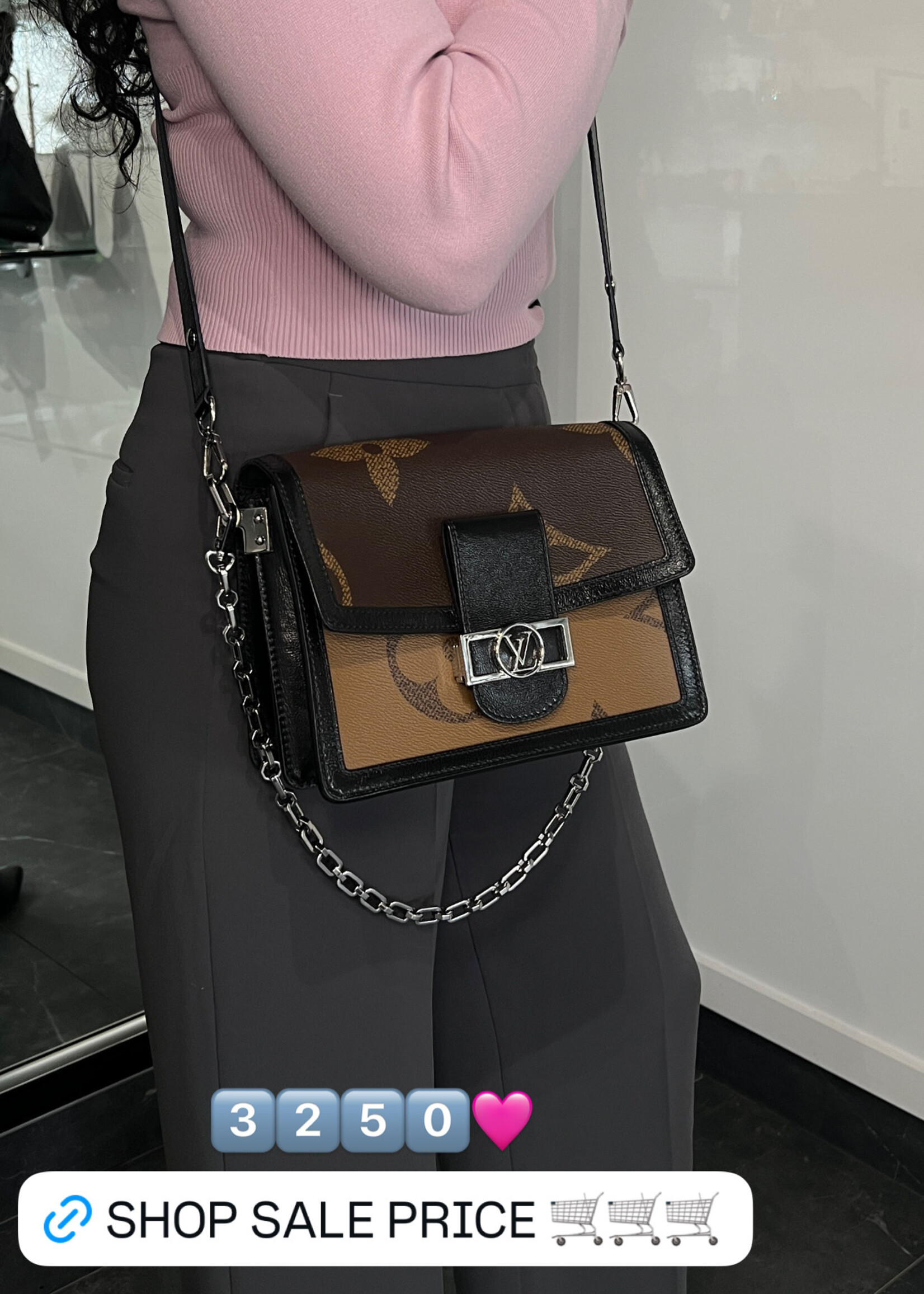 Louis Vuitton Louis Vuitton Dauphine Reverse MM