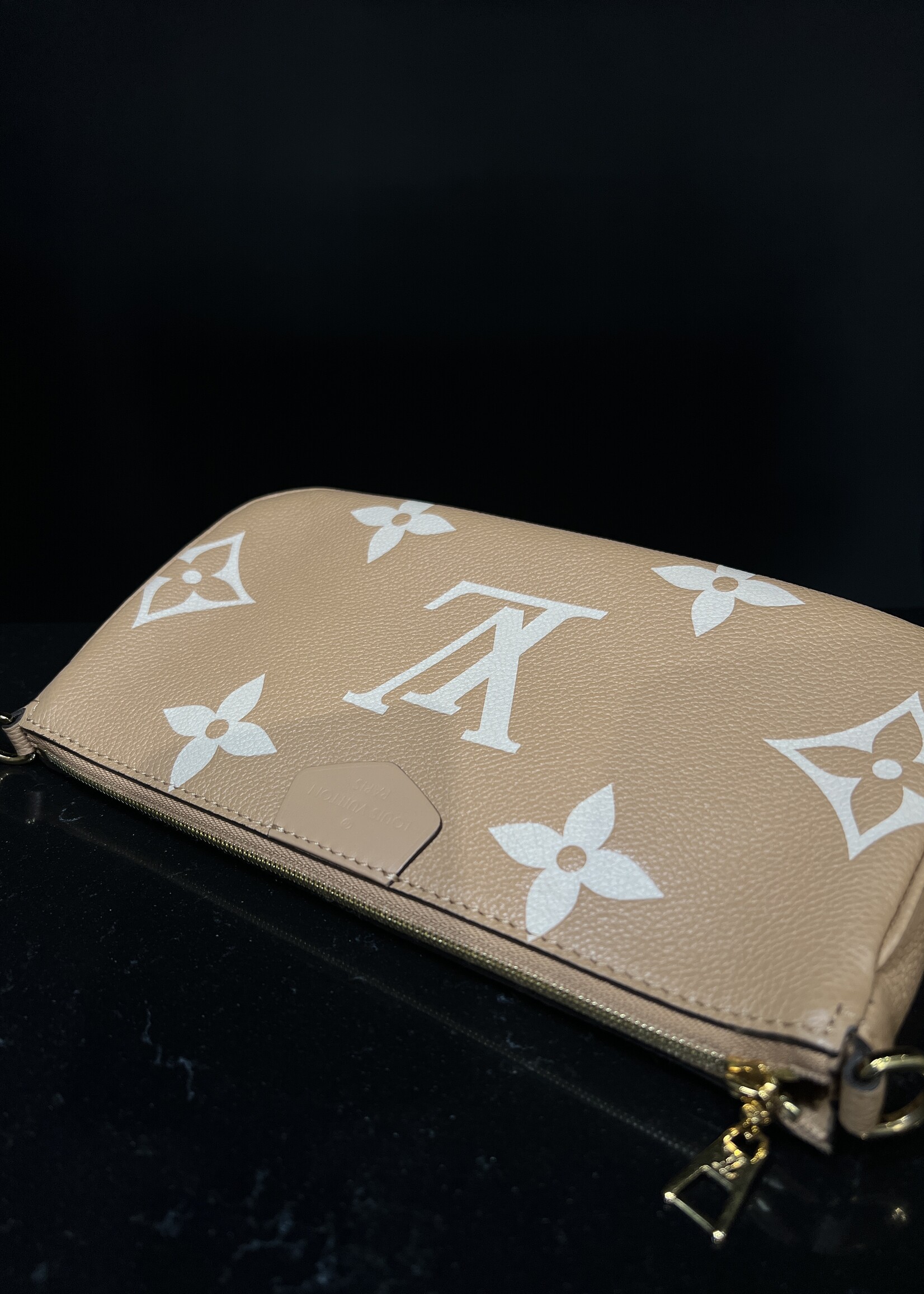 Louis Vuitton Louis Vuitton Empreinte Monogram Giant Multi Pochette Accessoires