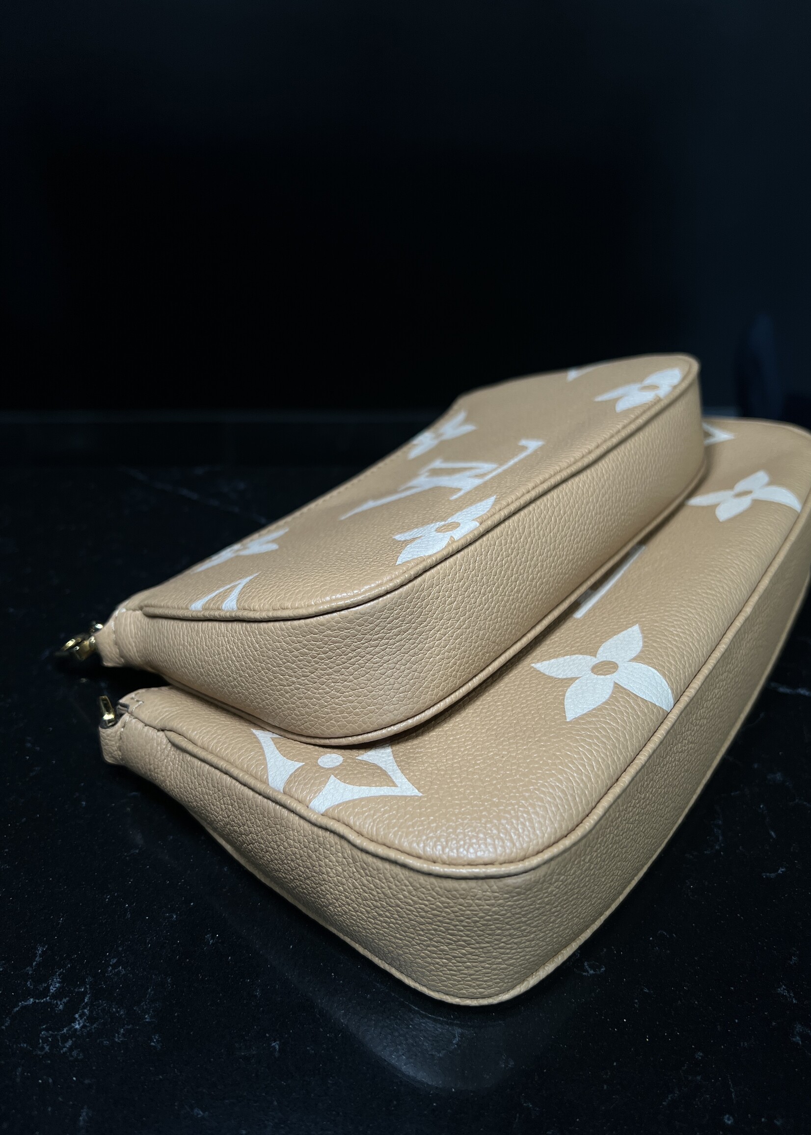 Louis Vuitton Louis Vuitton Empreinte Monogram Giant Multi Pochette Accessoires