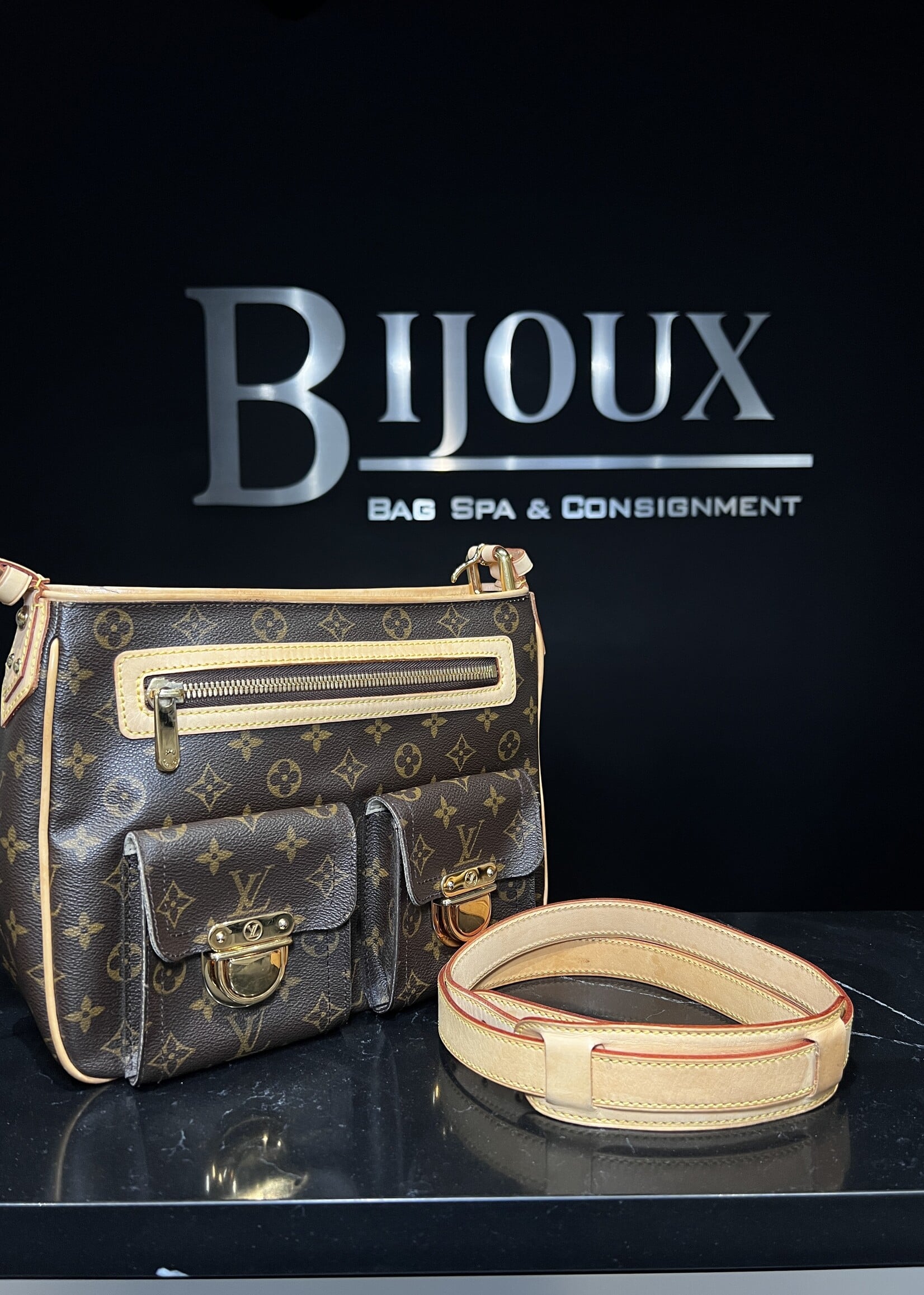 Louis Vuitton Louis Vuitton Hudson PM