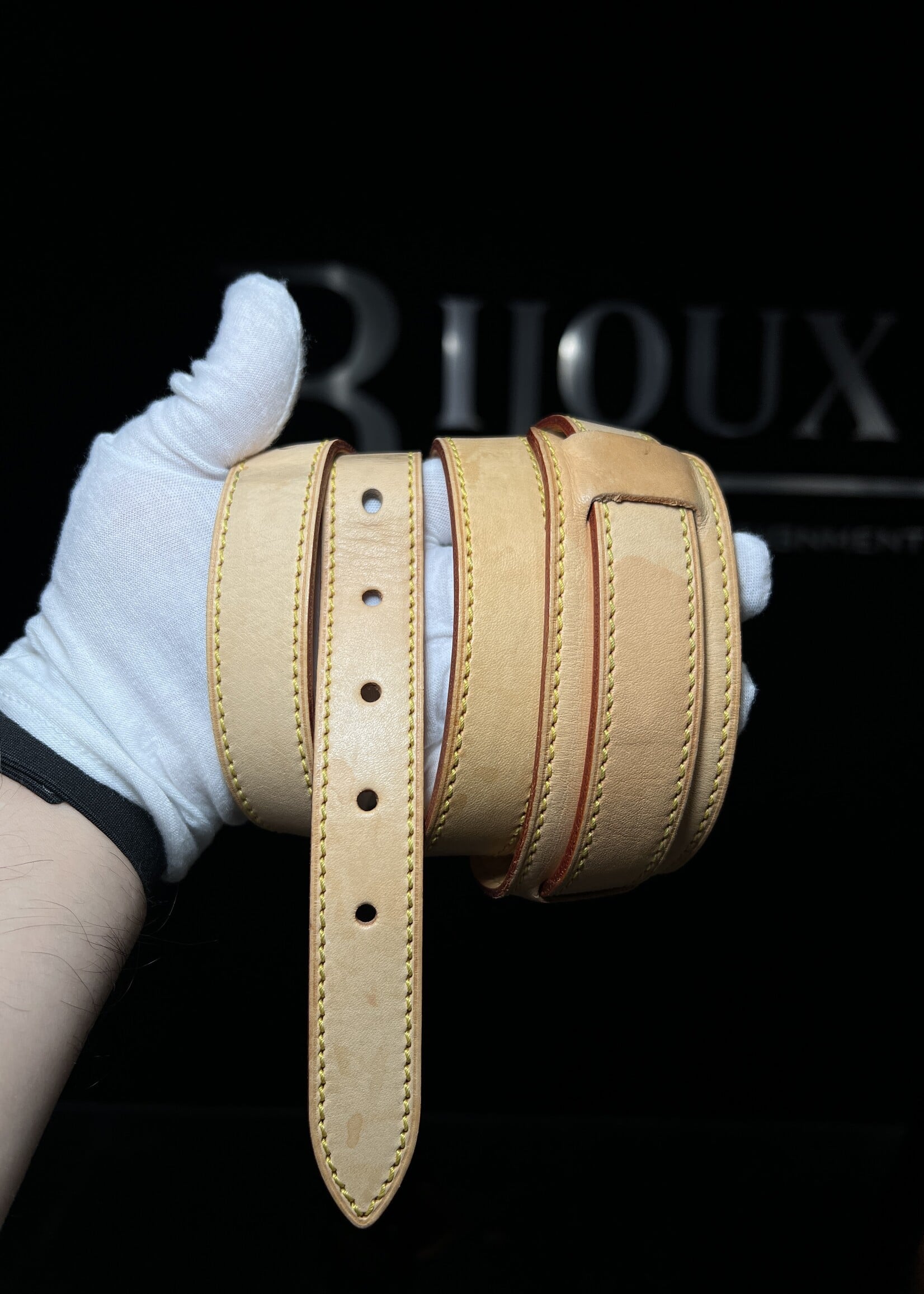 Louis Vuitton Louis Vuitton Hudson PM