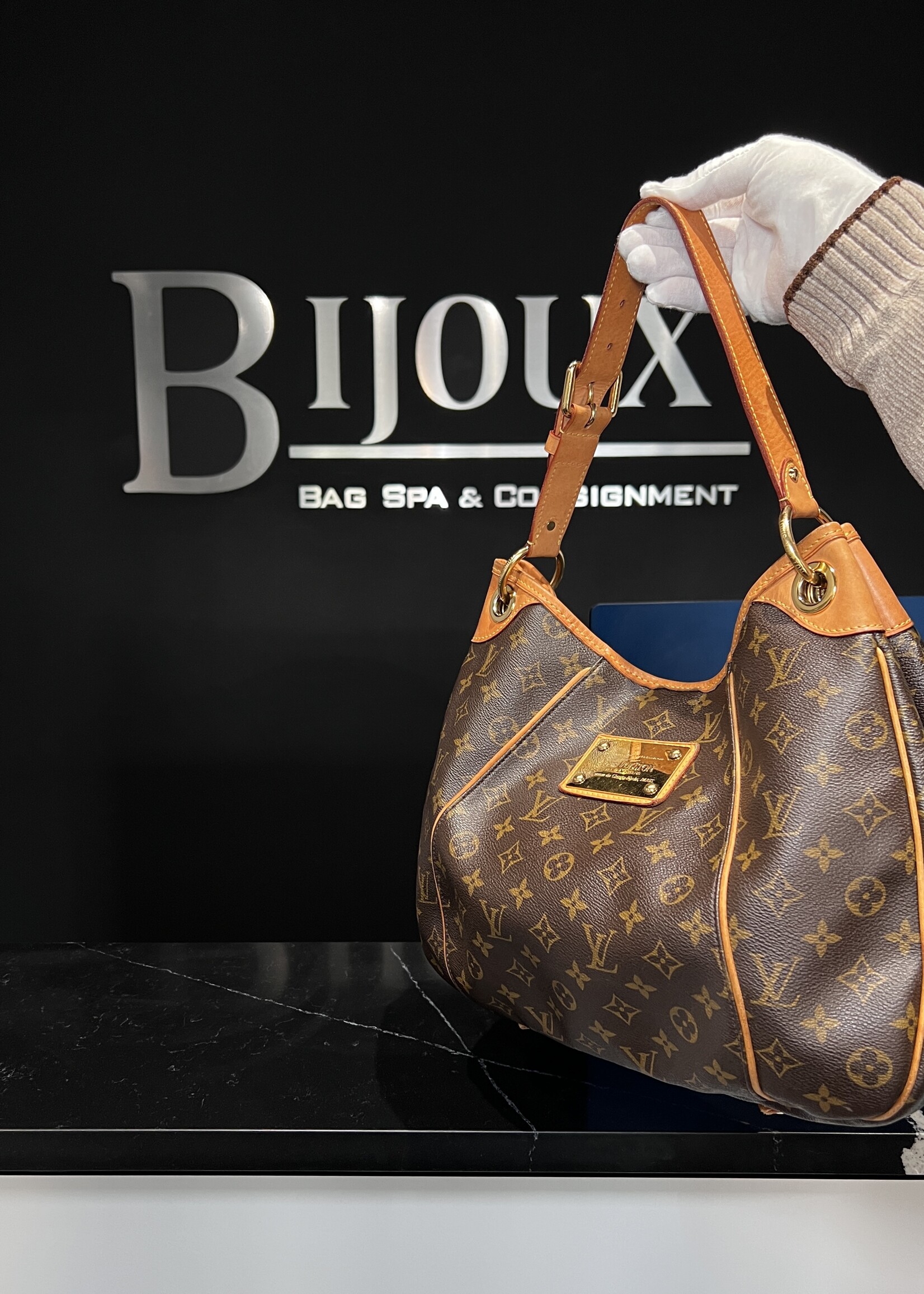 Louis Vuitton Louis Vuitton Monogram Galleria PM