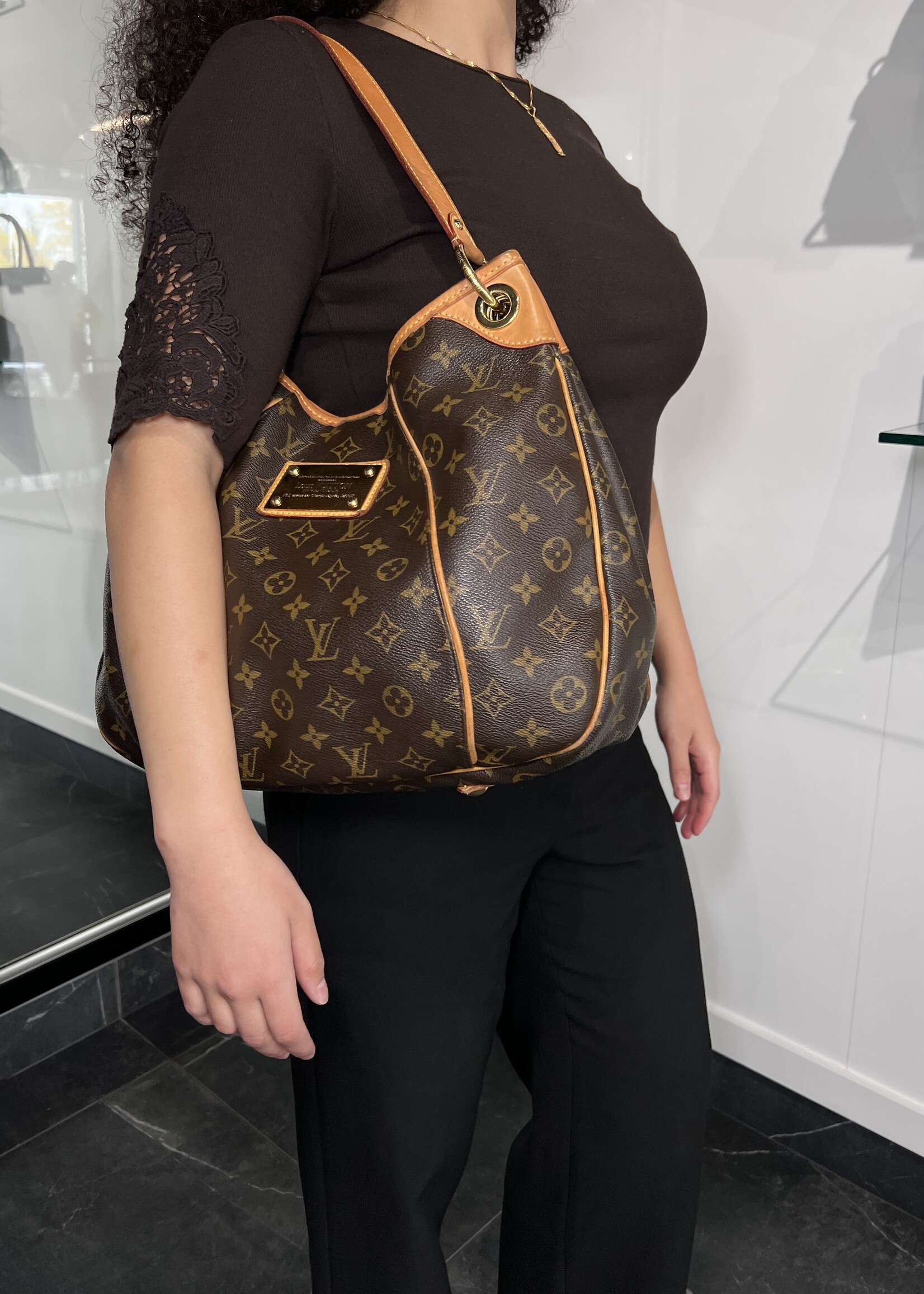 Louis Vuitton Louis Vuitton Monogram Galleria PM