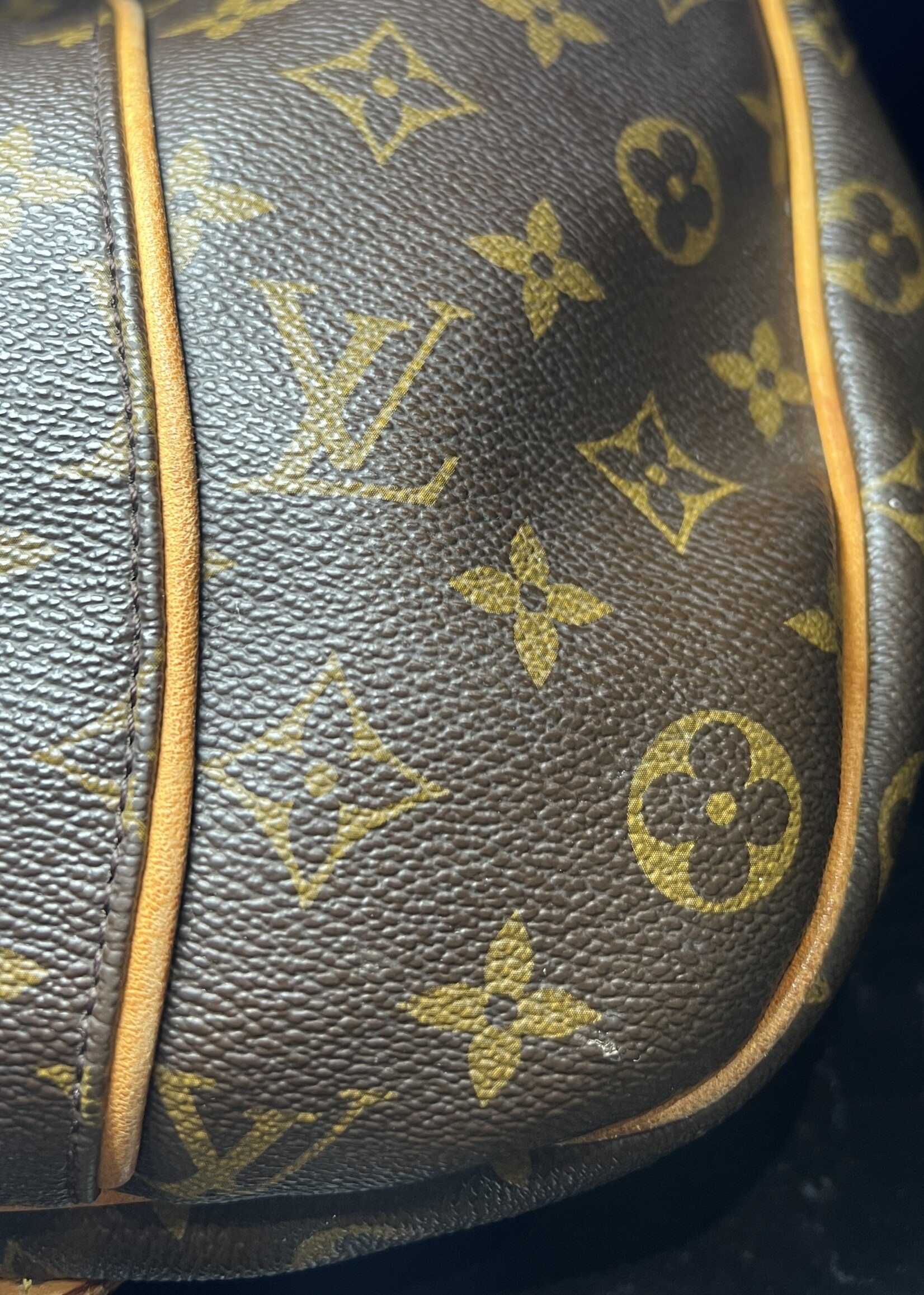 Louis Vuitton Louis Vuitton Monogram Galleria PM