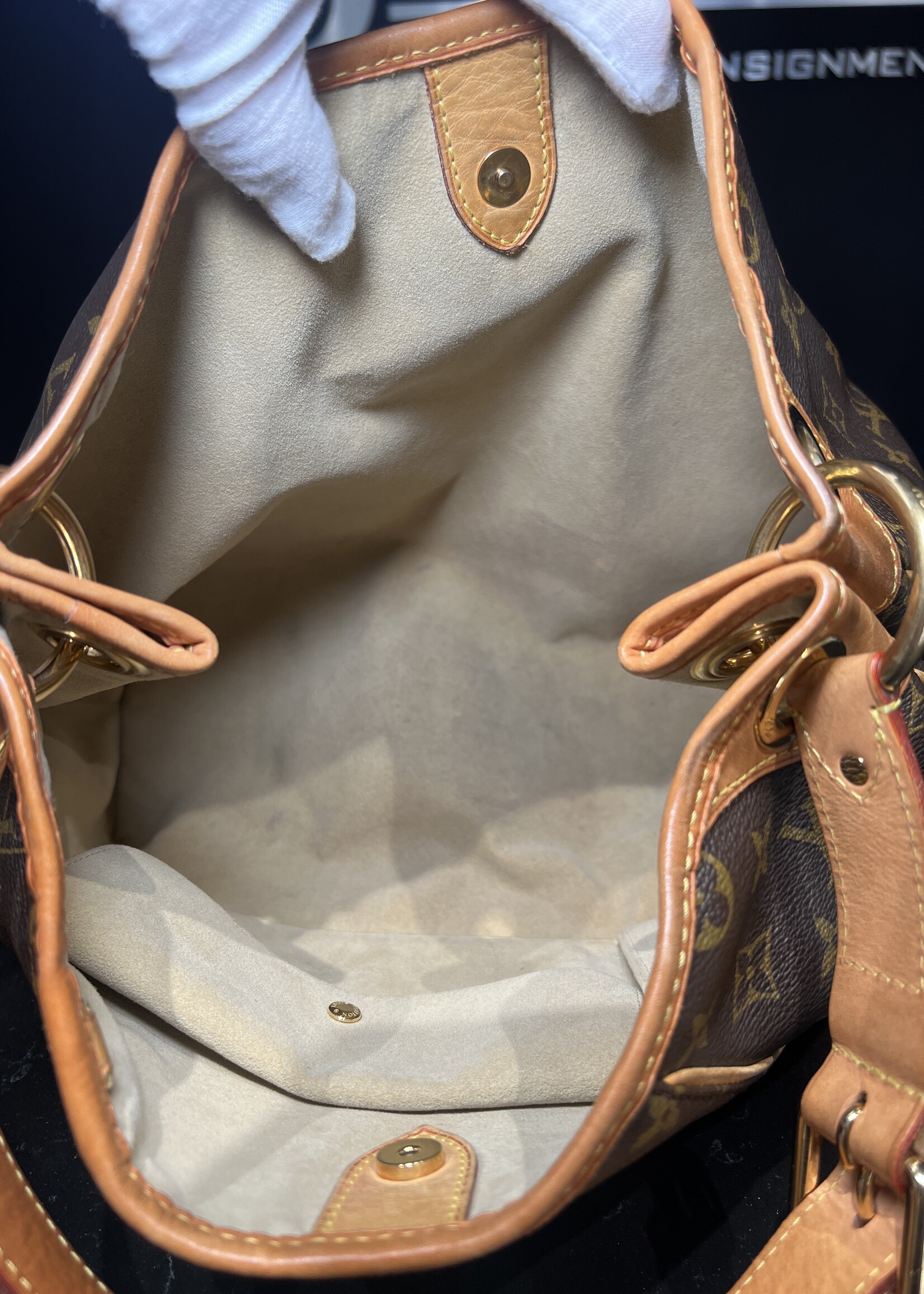 Louis Vuitton Louis Vuitton Monogram Galleria PM