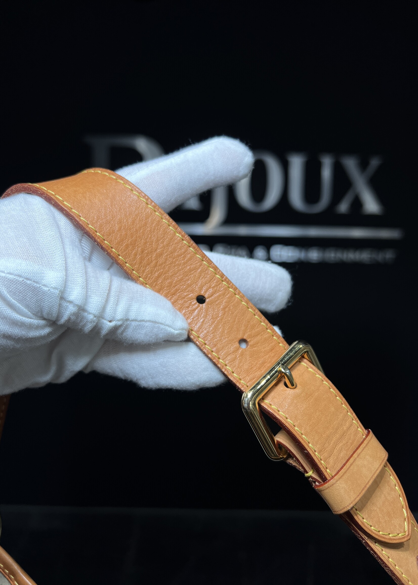 Louis Vuitton Louis Vuitton Monogram Galleria PM