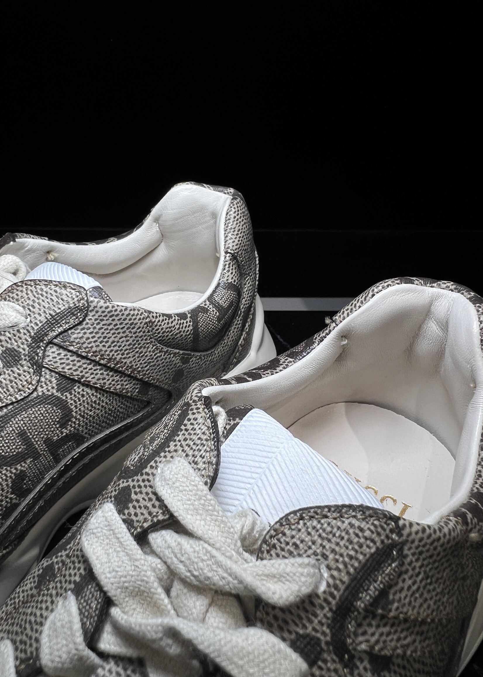 Gucci Gucci GG Rhyton Brown Canvas Sneakers -37