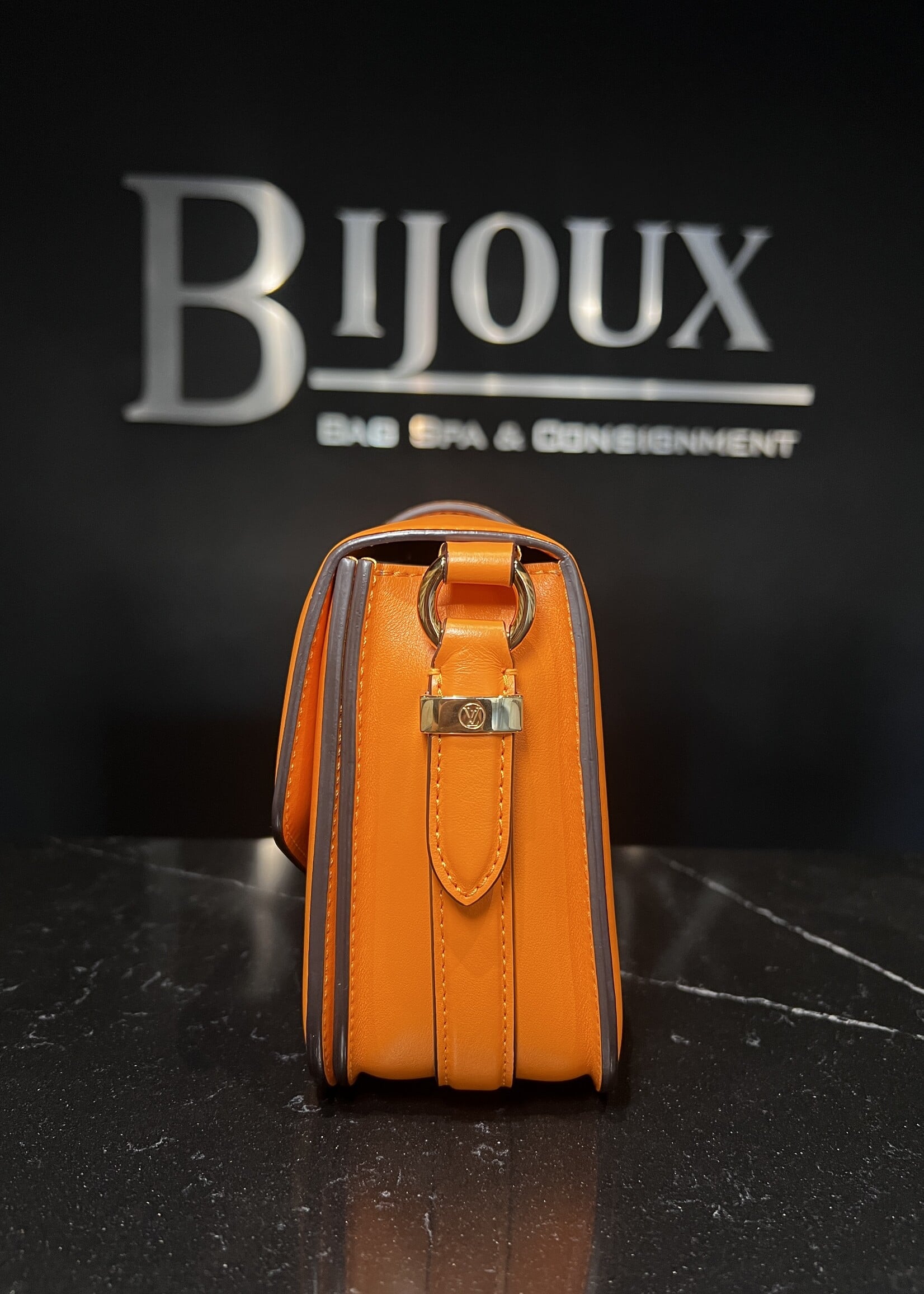 Louis Vuitton Louis Vuitton Pont 9 Summer Gold  MM