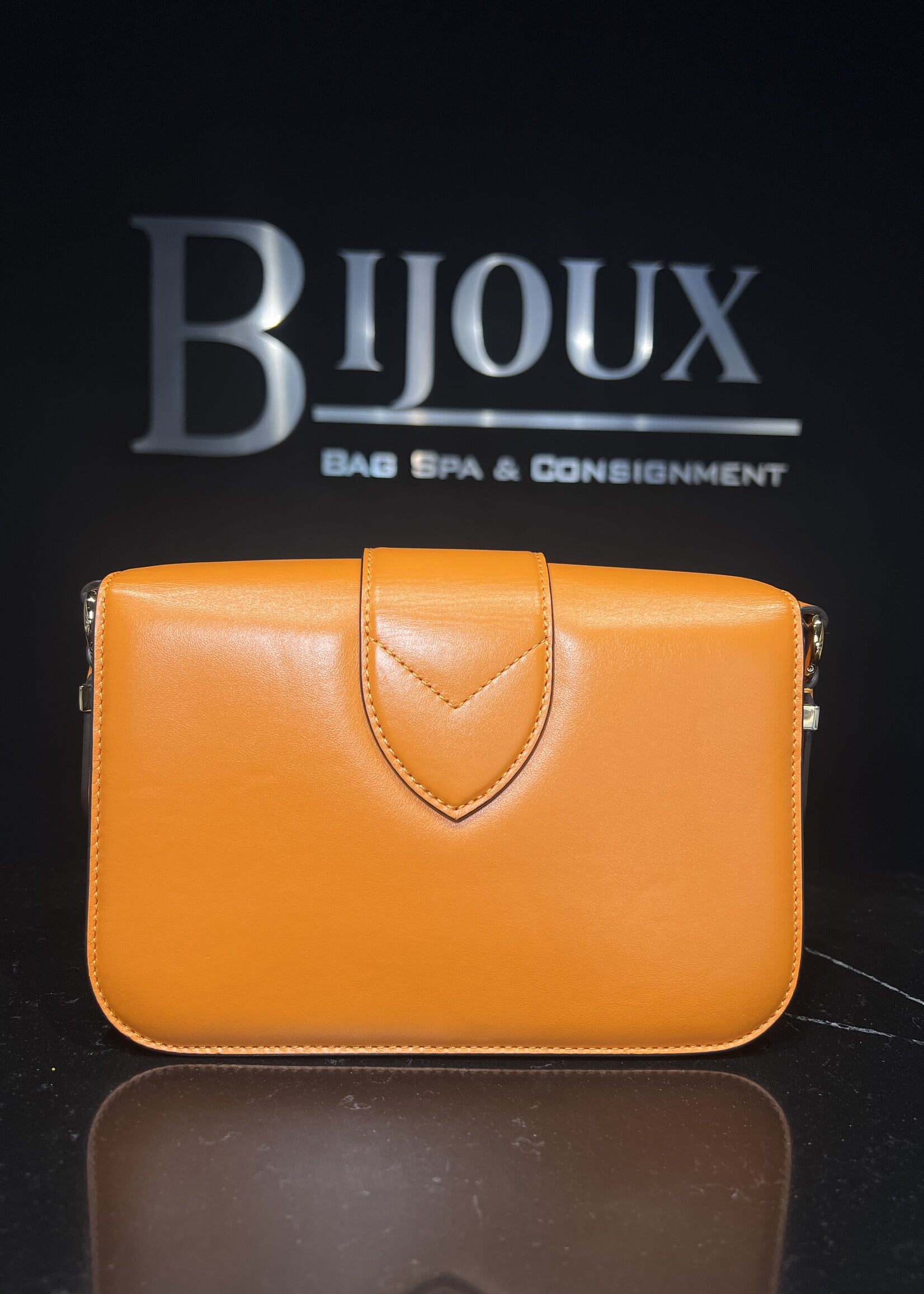 Louis Vuitton Louis Vuitton Pont 9 Summer Gold  MM