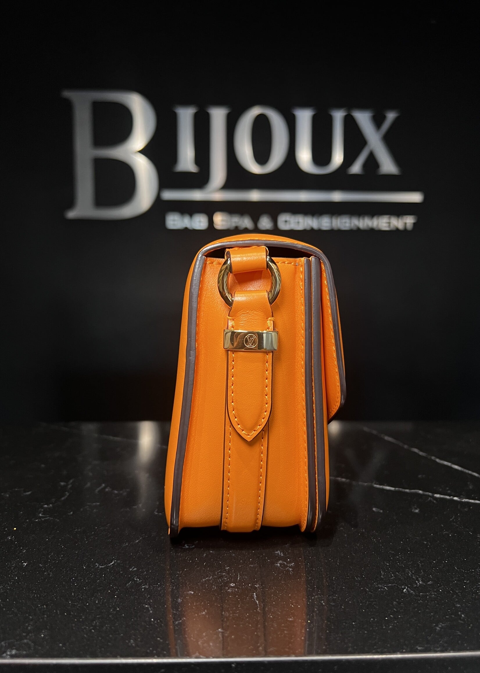 Louis Vuitton Louis Vuitton Pont 9 Summer Gold  MM