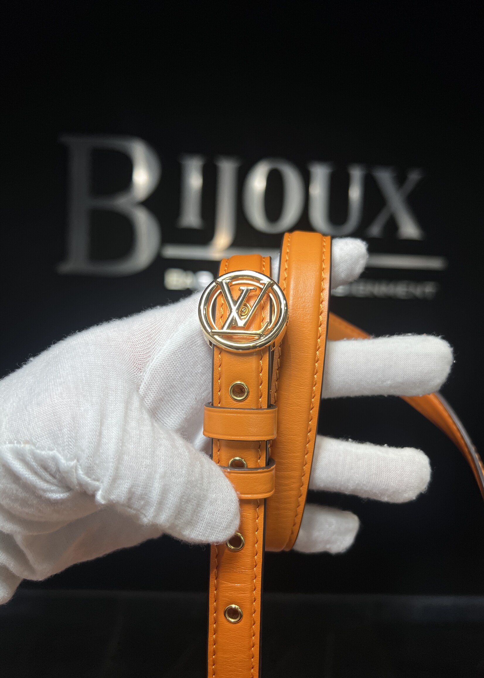Louis Vuitton Louis Vuitton Pont 9 Summer Gold  MM