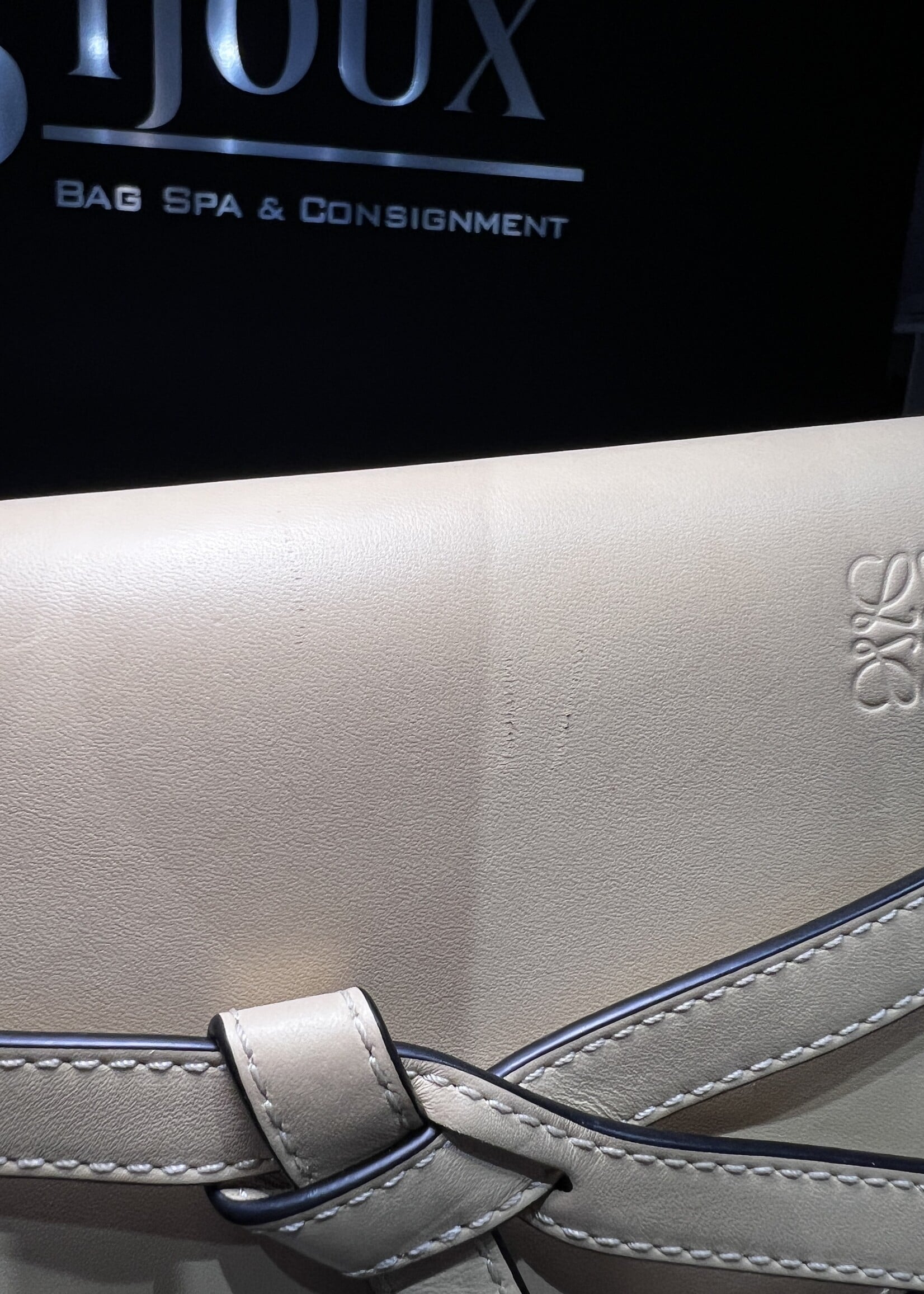 Loewe Loewe Jacquard Mini Gate Dual Crossbody