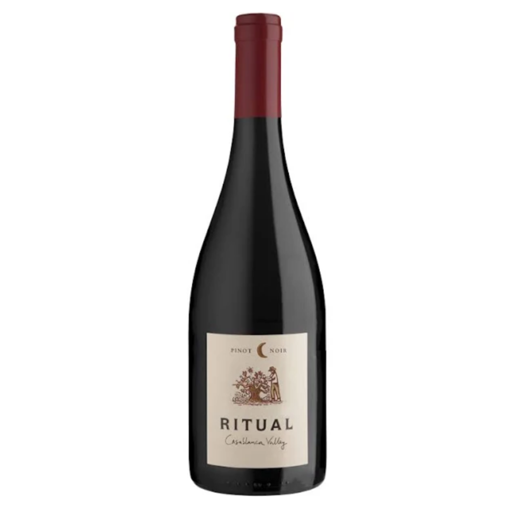 2017, Ritual, Pinot Noir, Casablanca Valley, Casablanca, Chile, 13.5% Alc, TW92