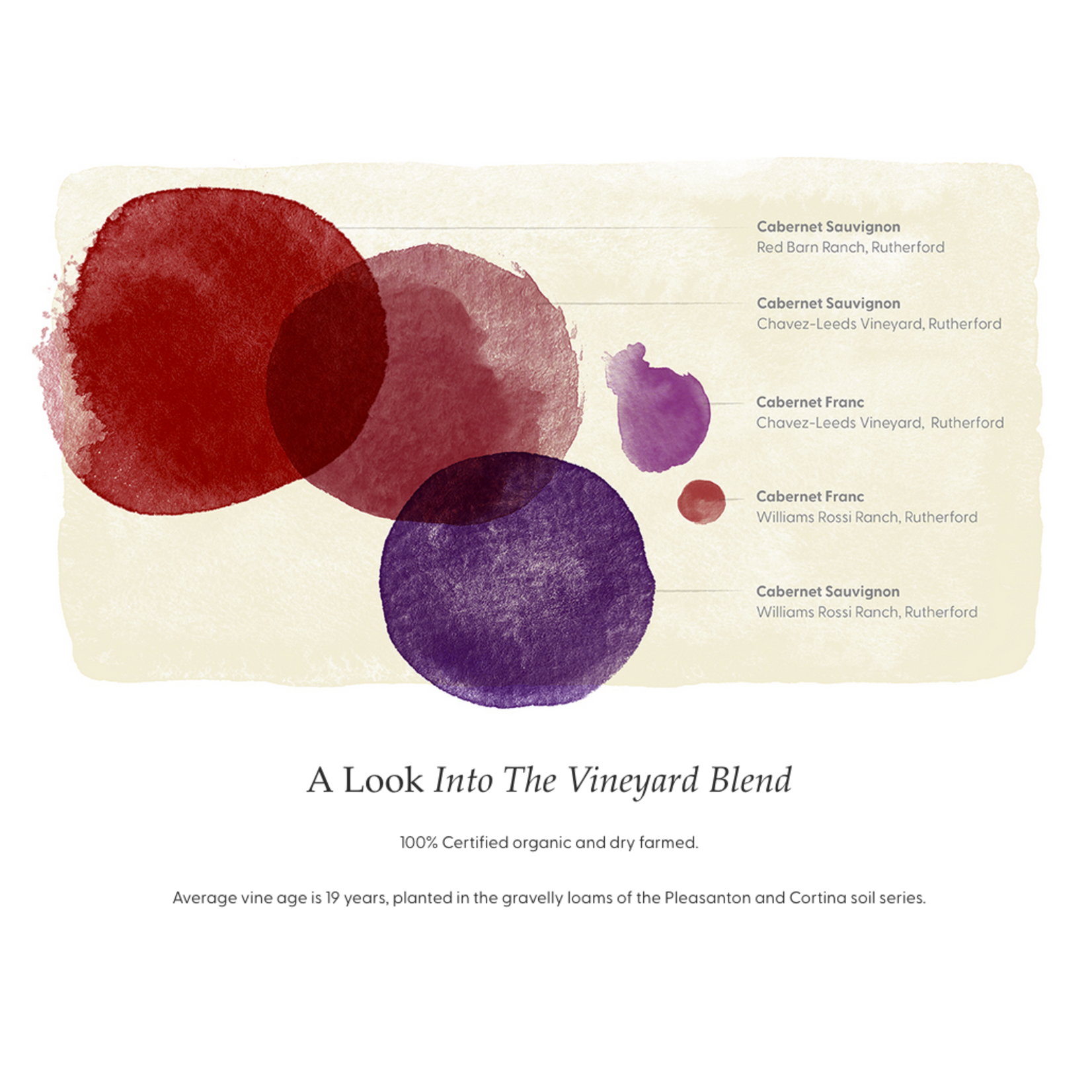 2020, Frog’s Leap, Cabernet Sauvignon, Rutherford, Napa Valley, California, 13.8% Alc, T3,Sw2,Sm3,C4,I4